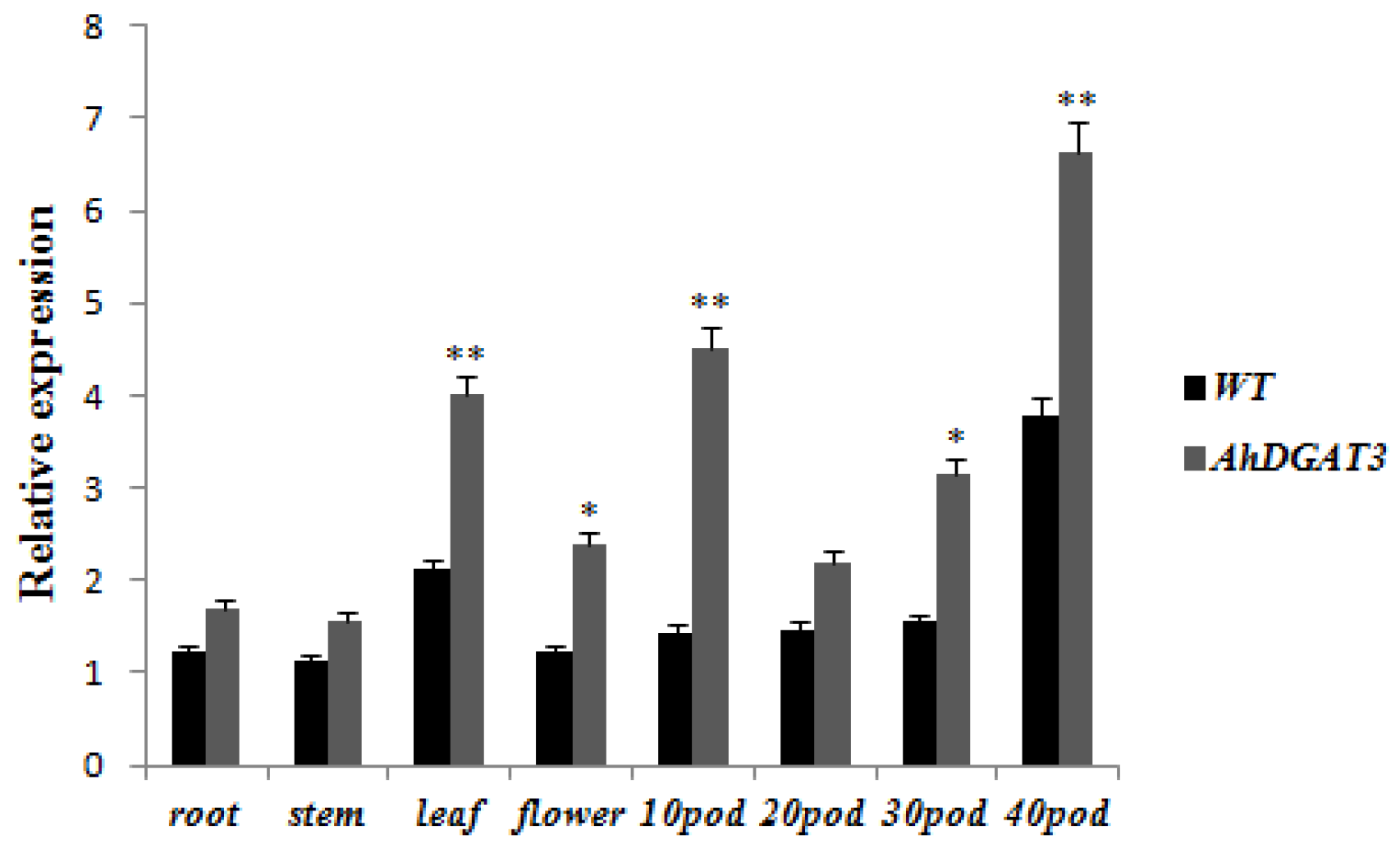 Agronomy 13 02333 g004
