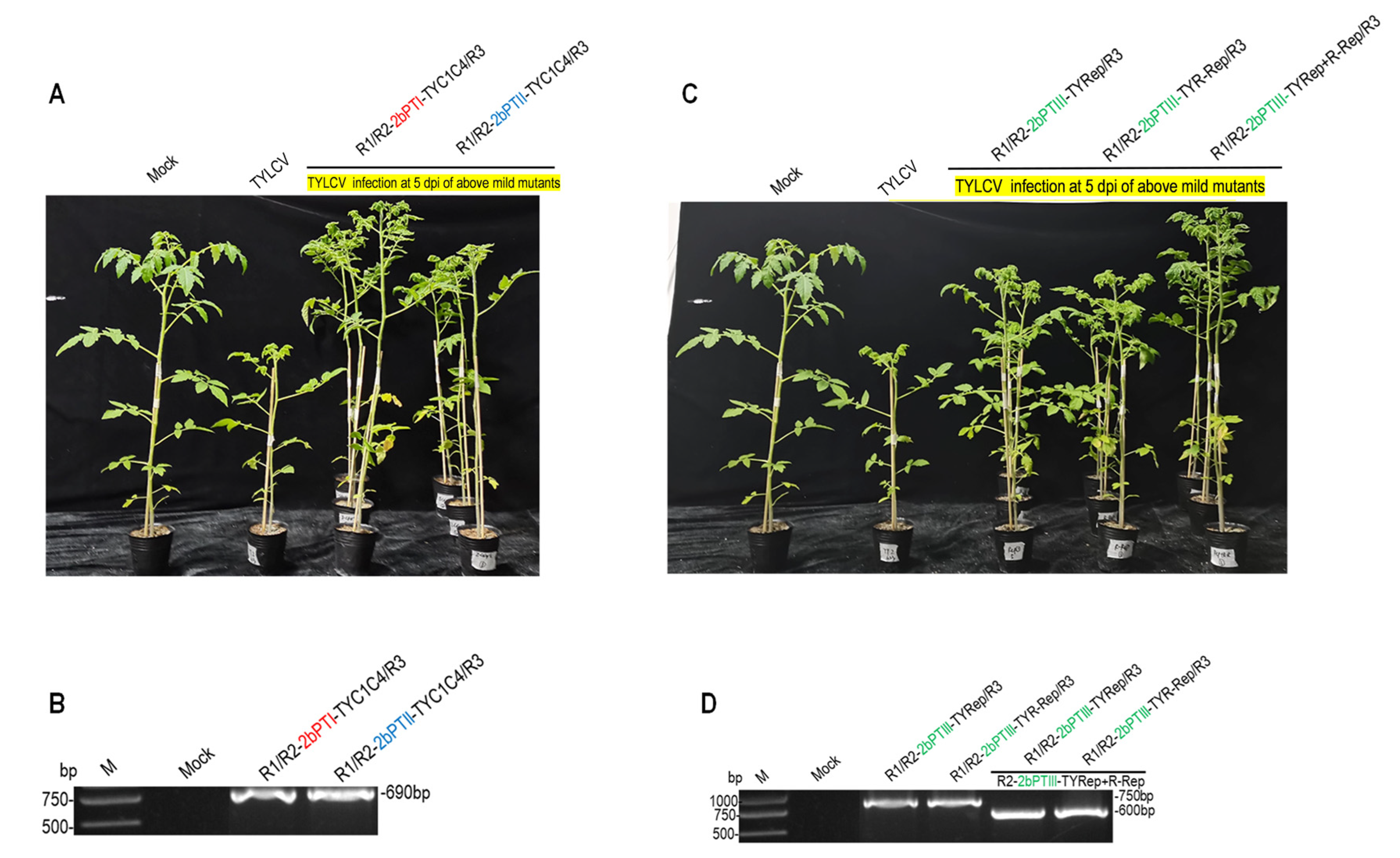 Agronomy 13 02334 g002