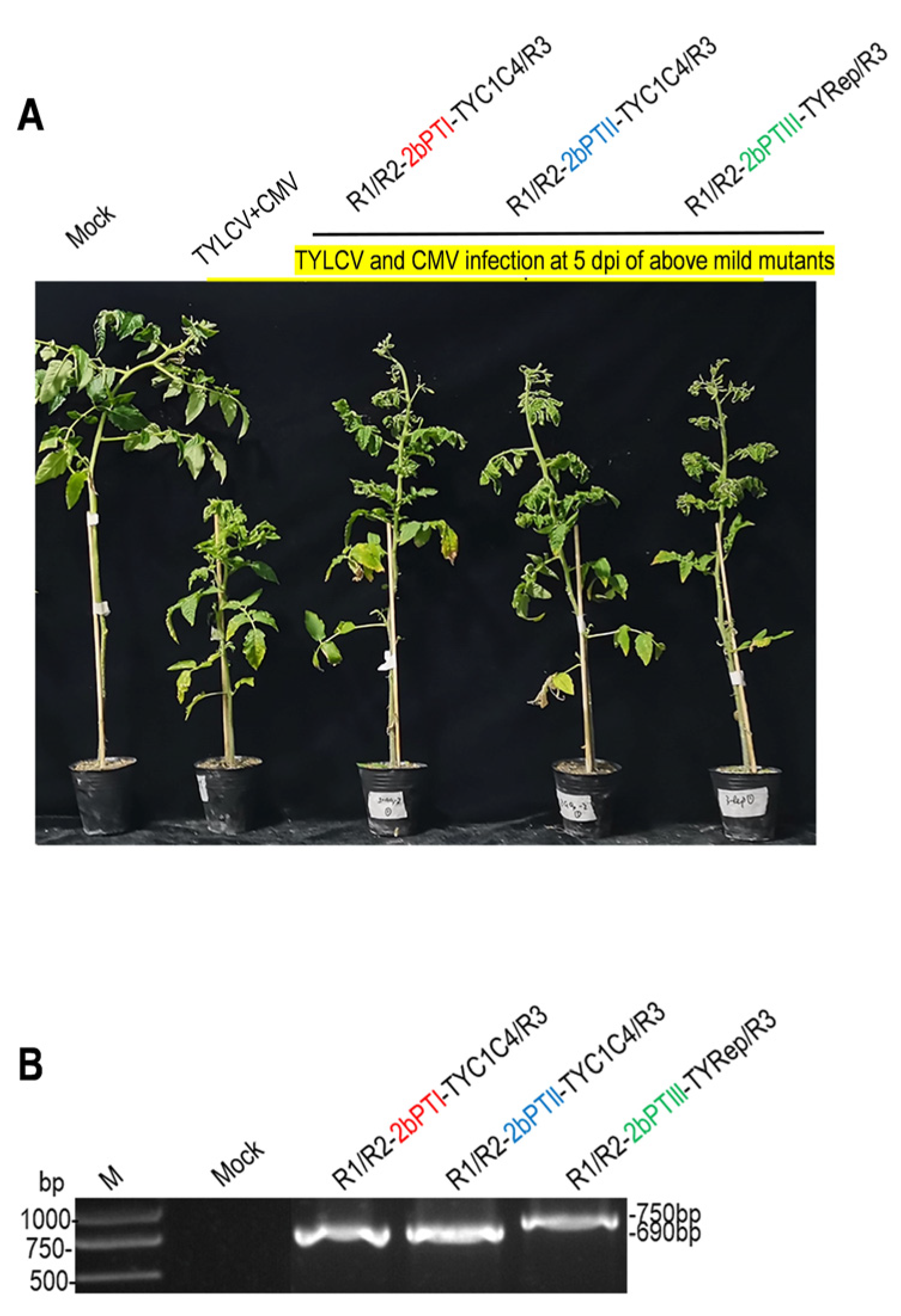 Agronomy 13 02334 g003