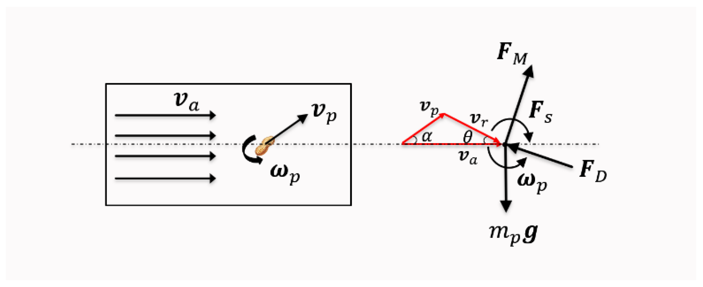 Agronomy 13 02338 g006