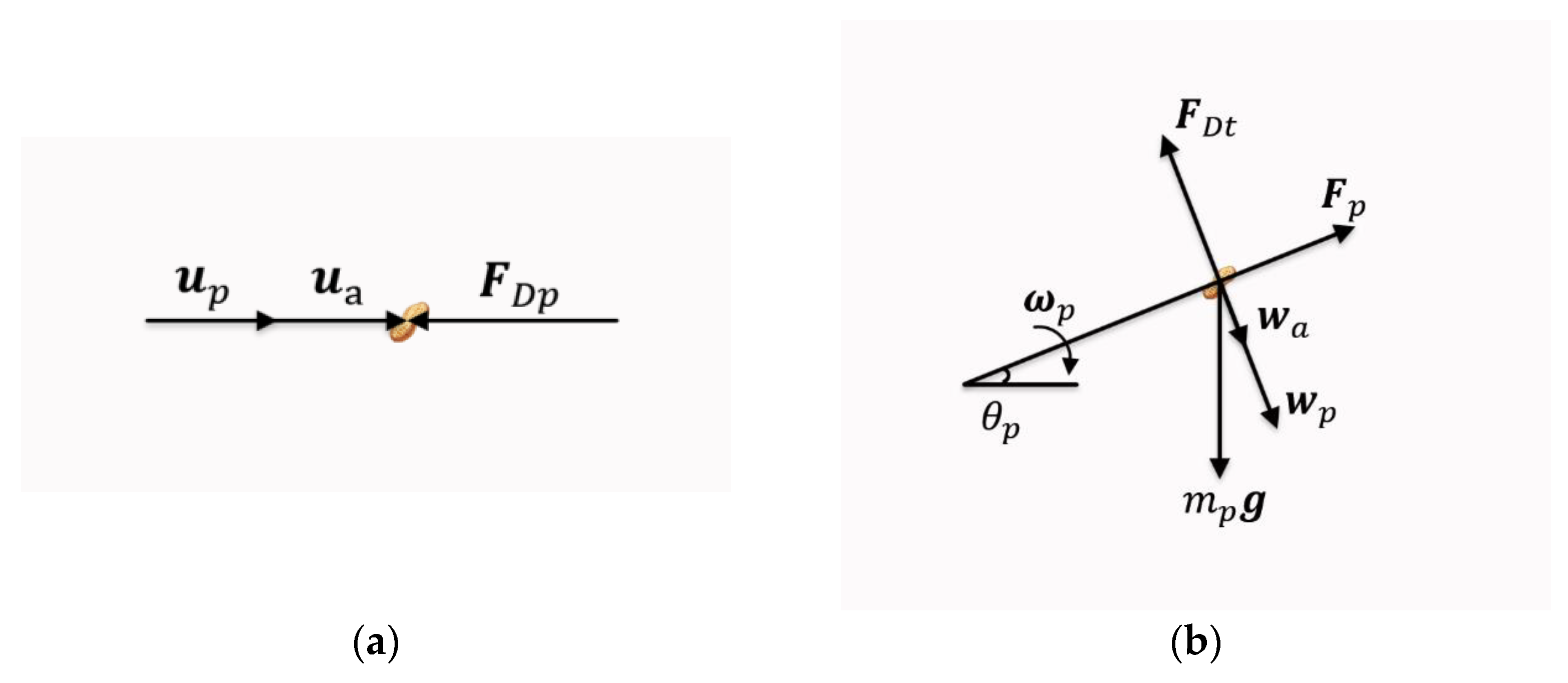 Agronomy 13 02338 g007