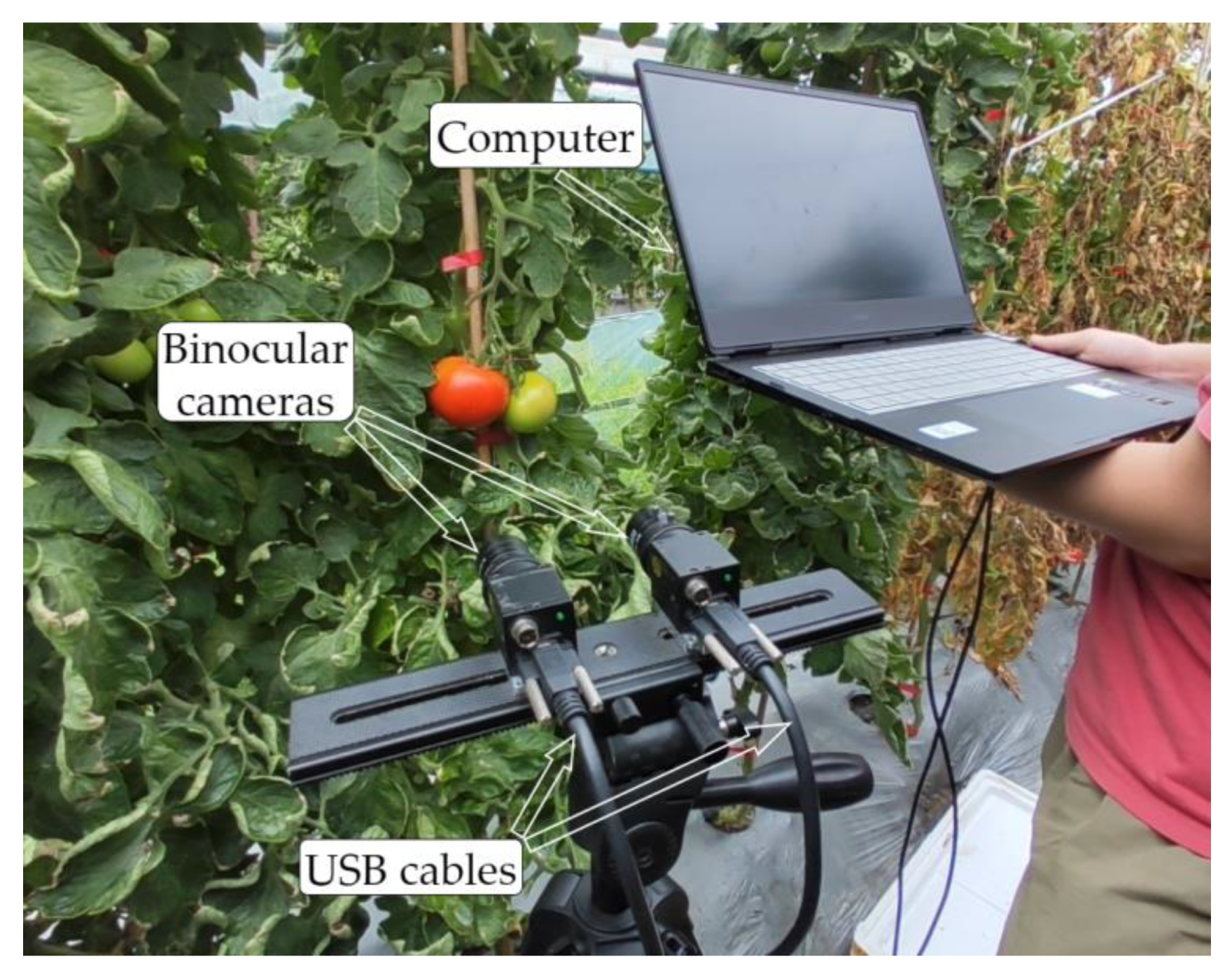 Agronomy 13 02339 g007