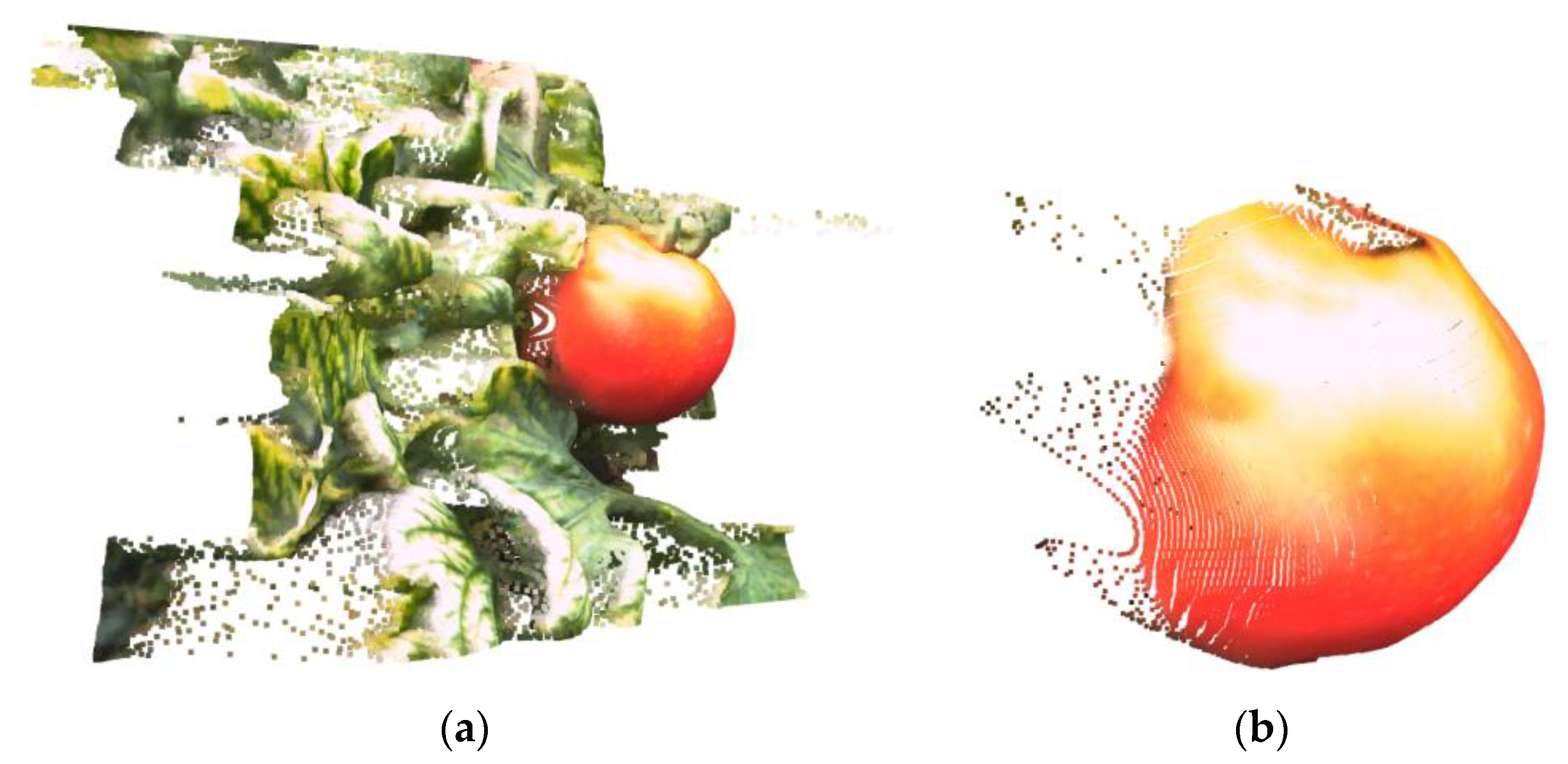 Agronomy 13 02339 g010