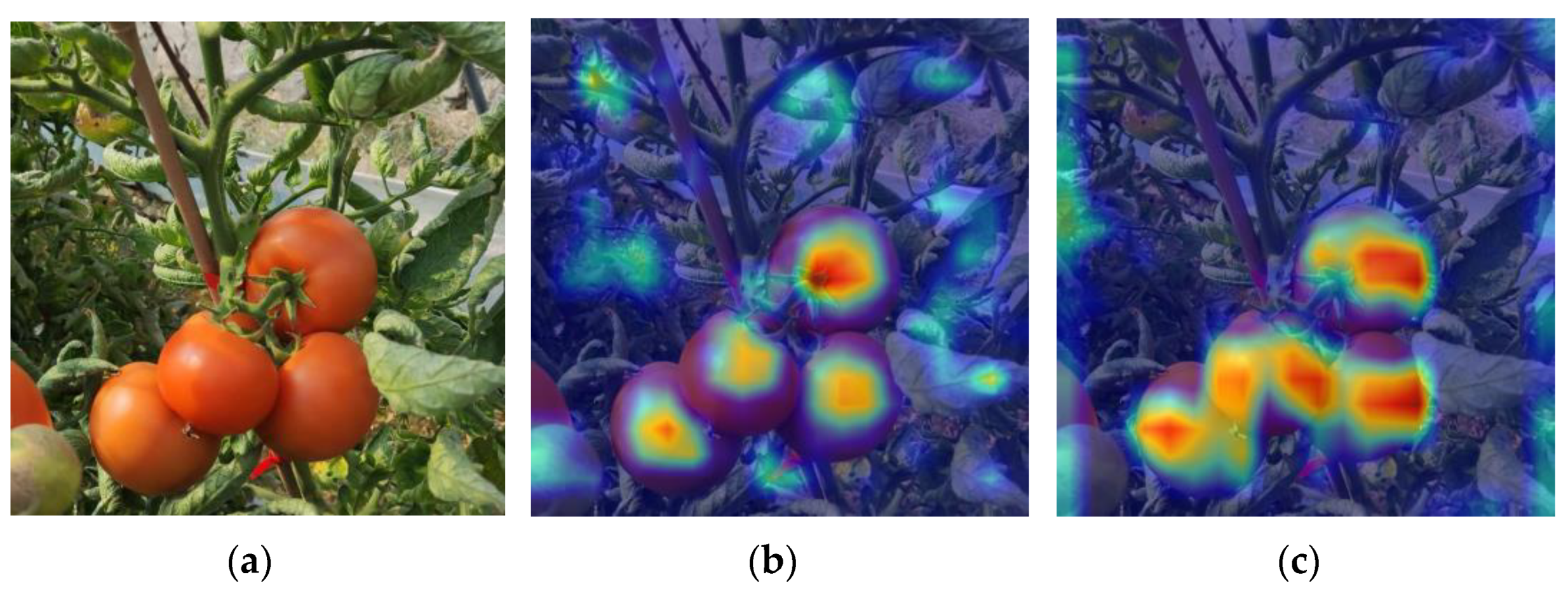 Agronomy 13 02339 g012