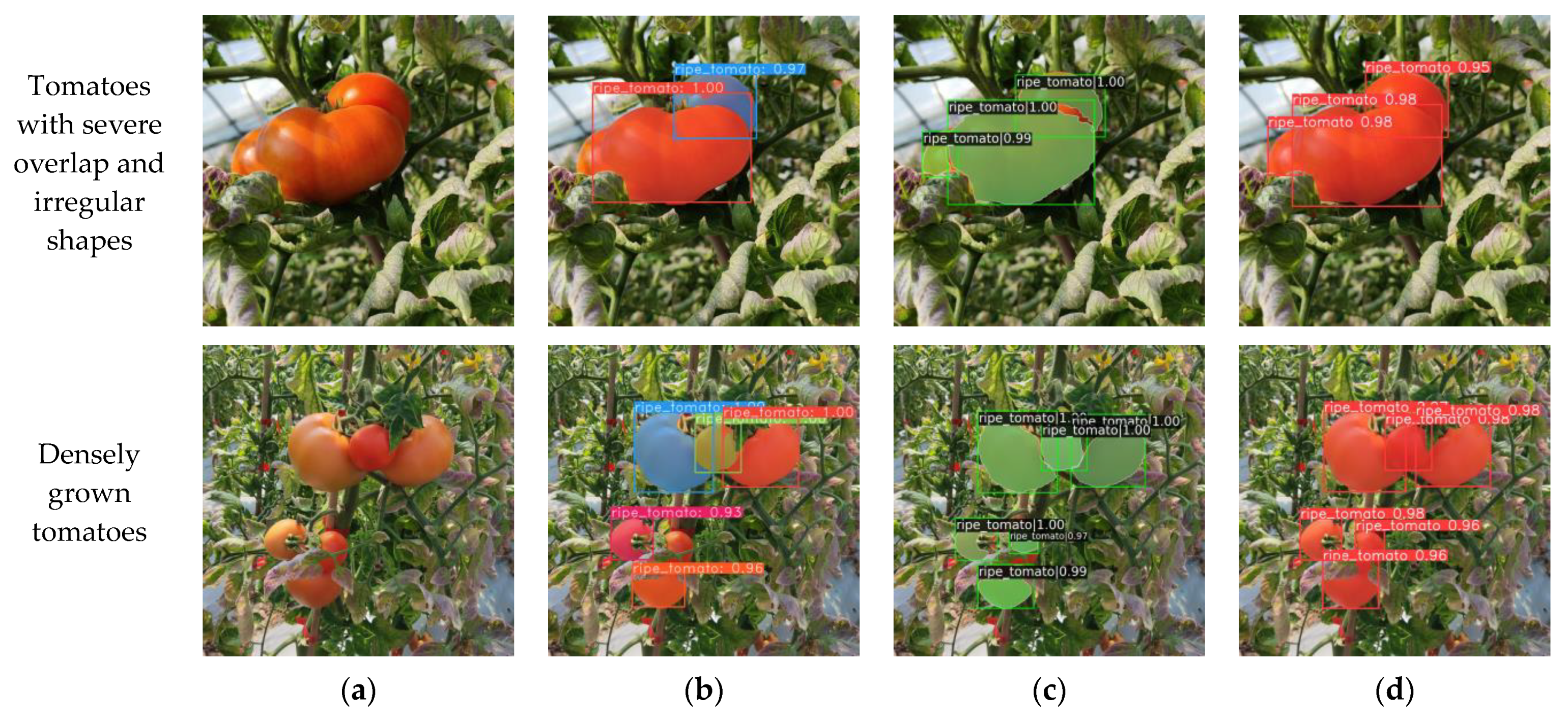 Agronomy 13 02339 g013