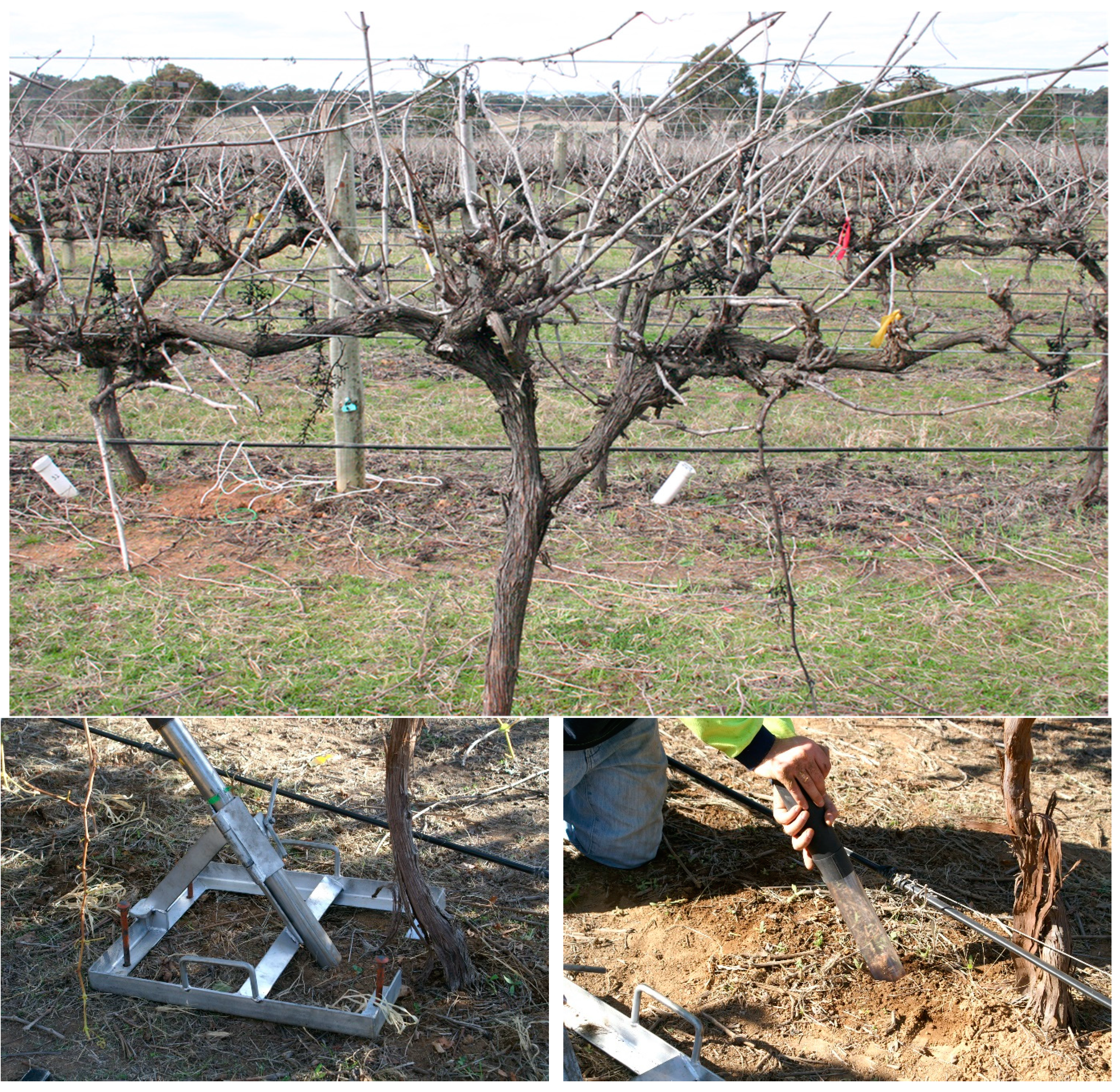 Agronomy 13 02355 g001