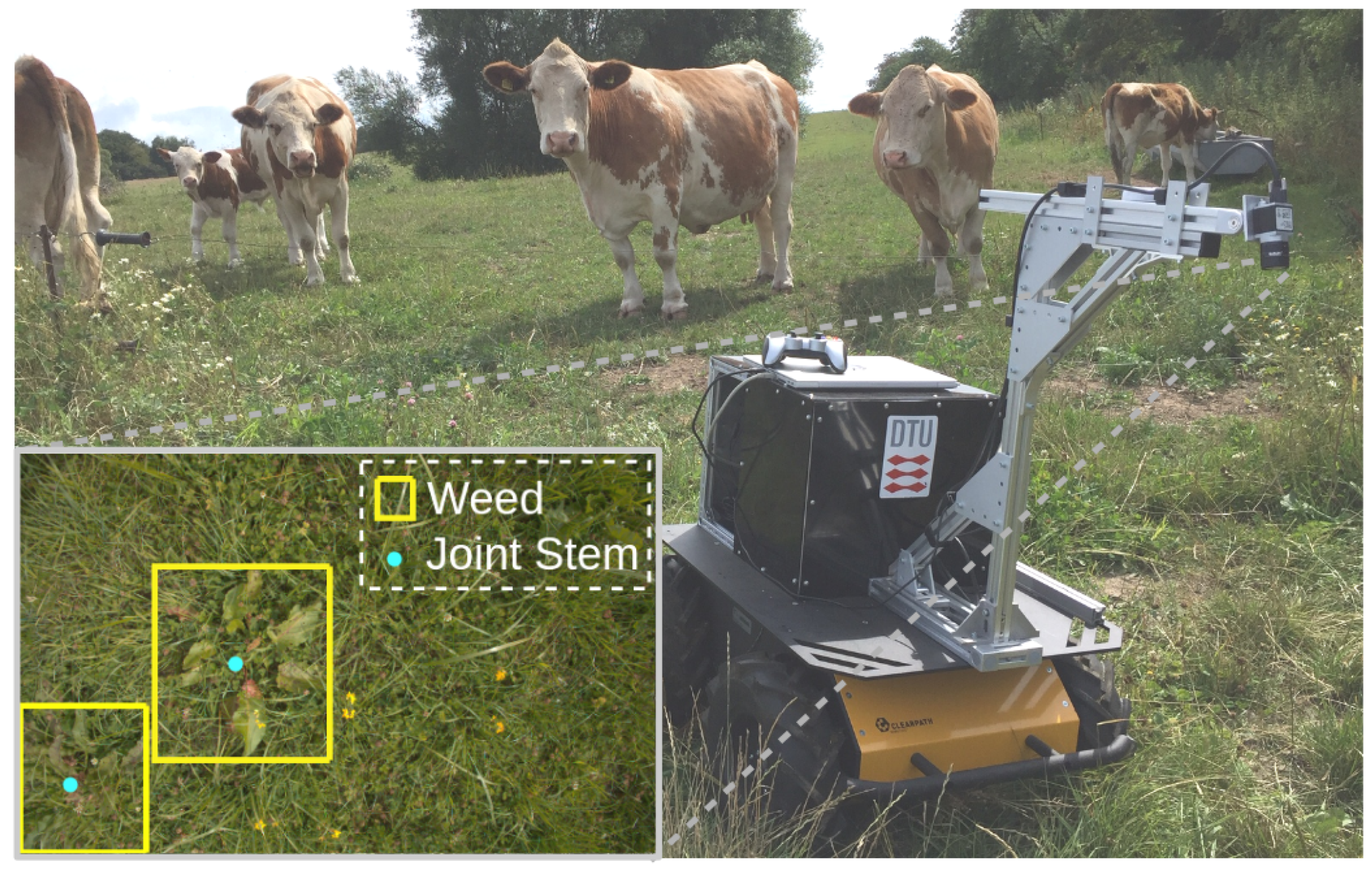 Agronomy 13 02365 g001