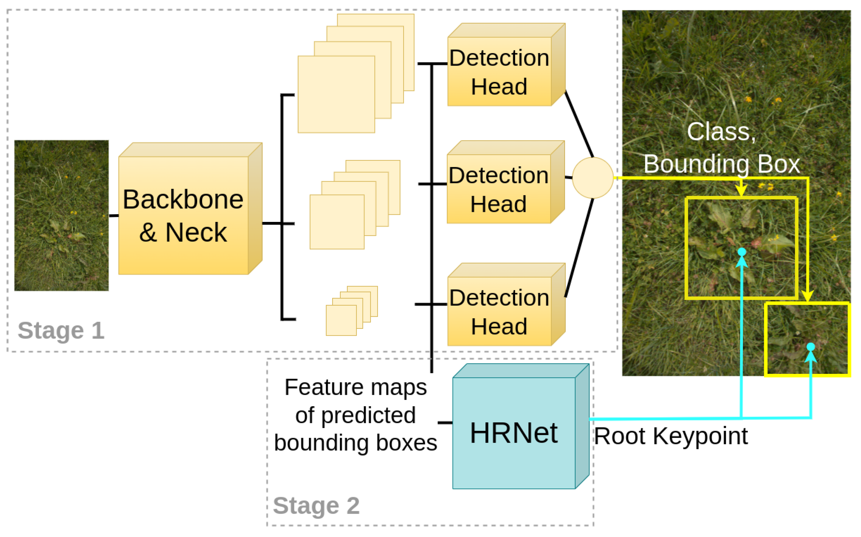 Agronomy 13 02365 g002