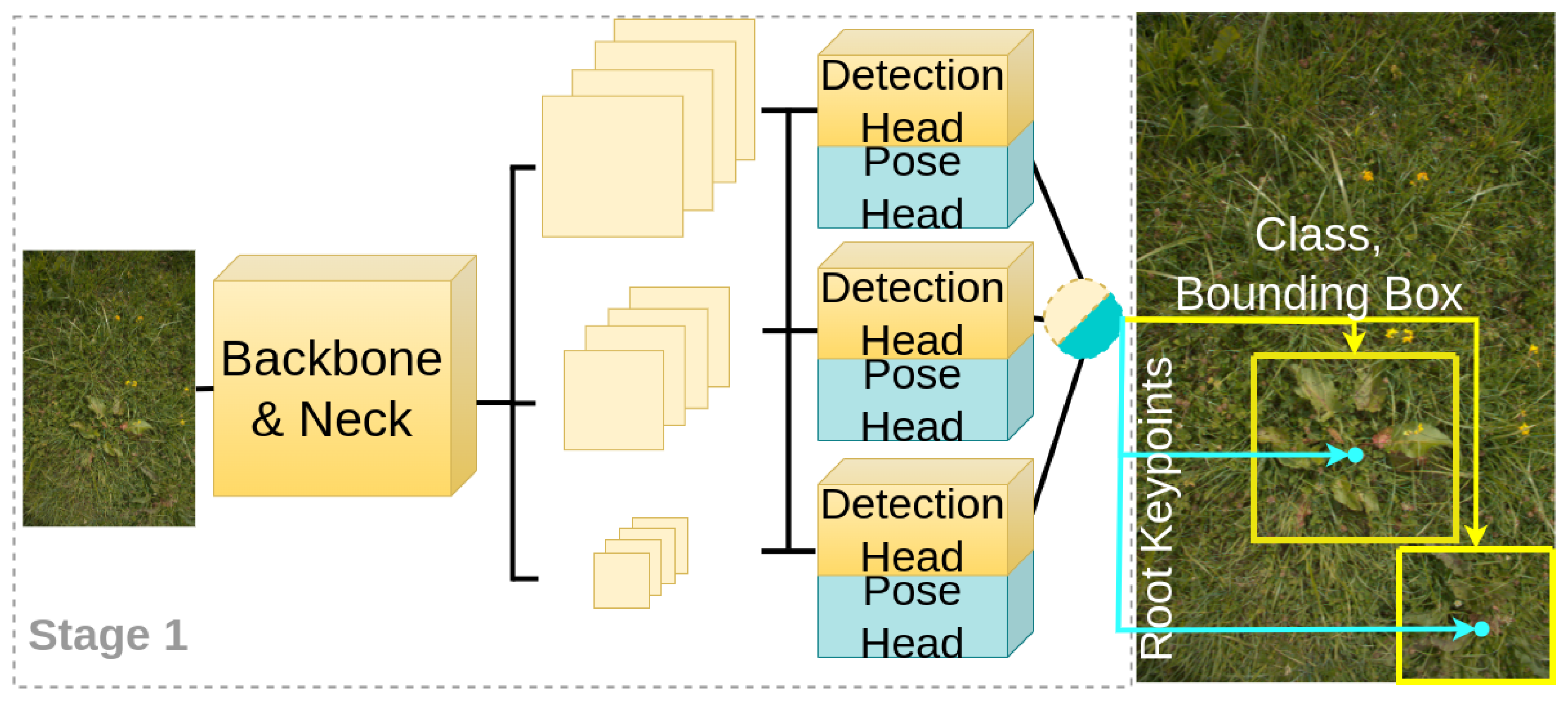 Agronomy 13 02365 g003