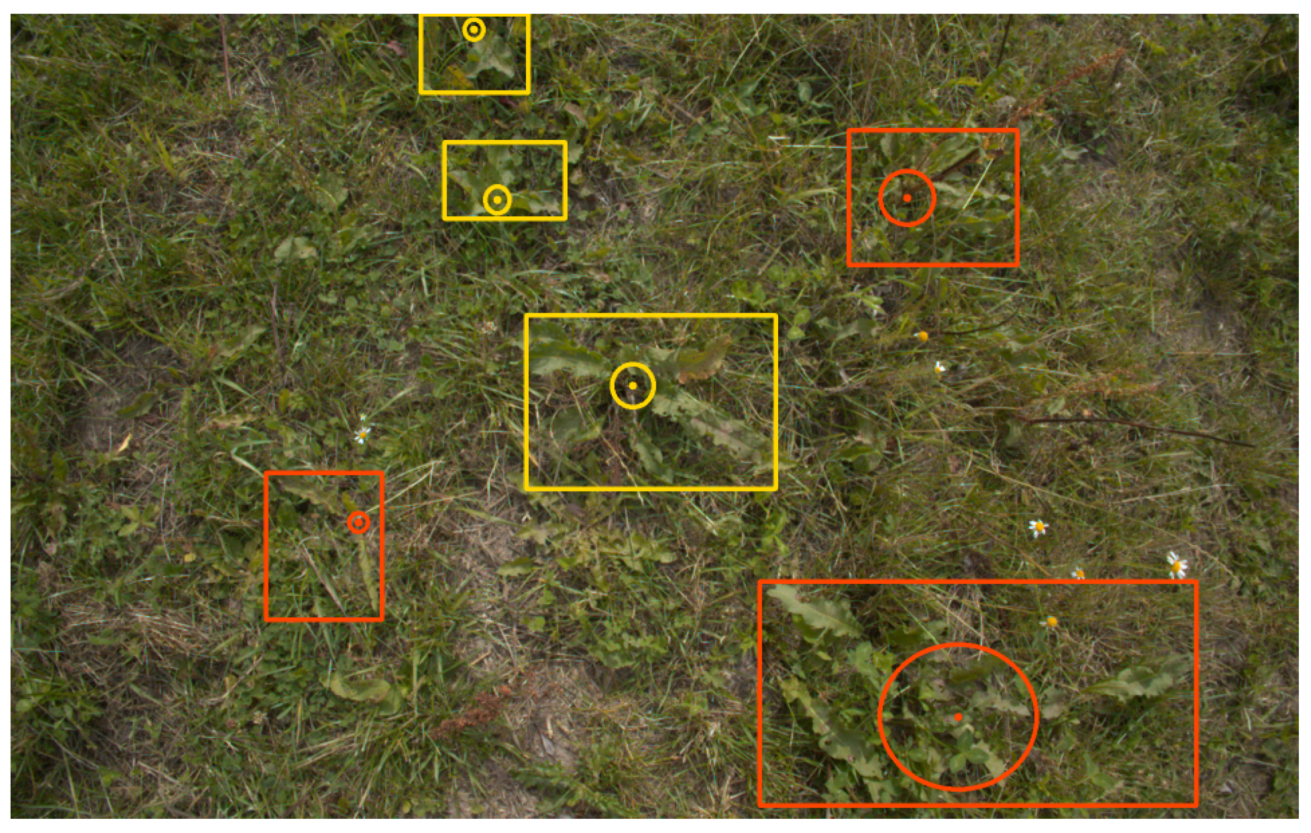 Agronomy 13 02365 g004