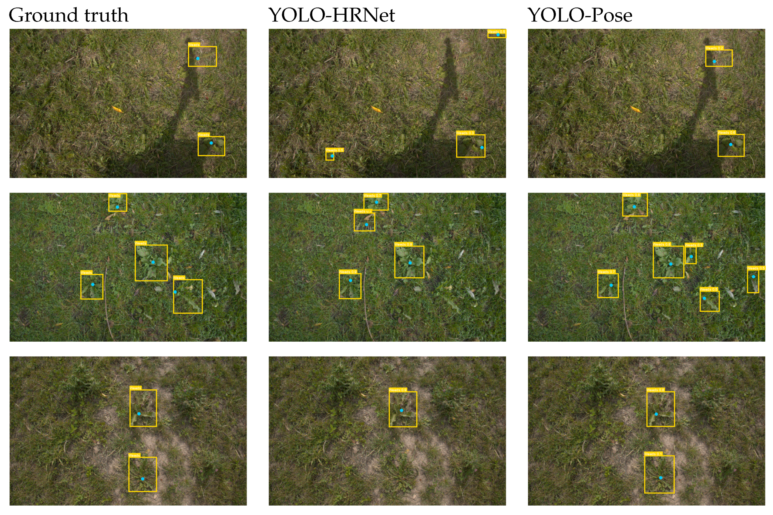 Agronomy 13 02365 g005