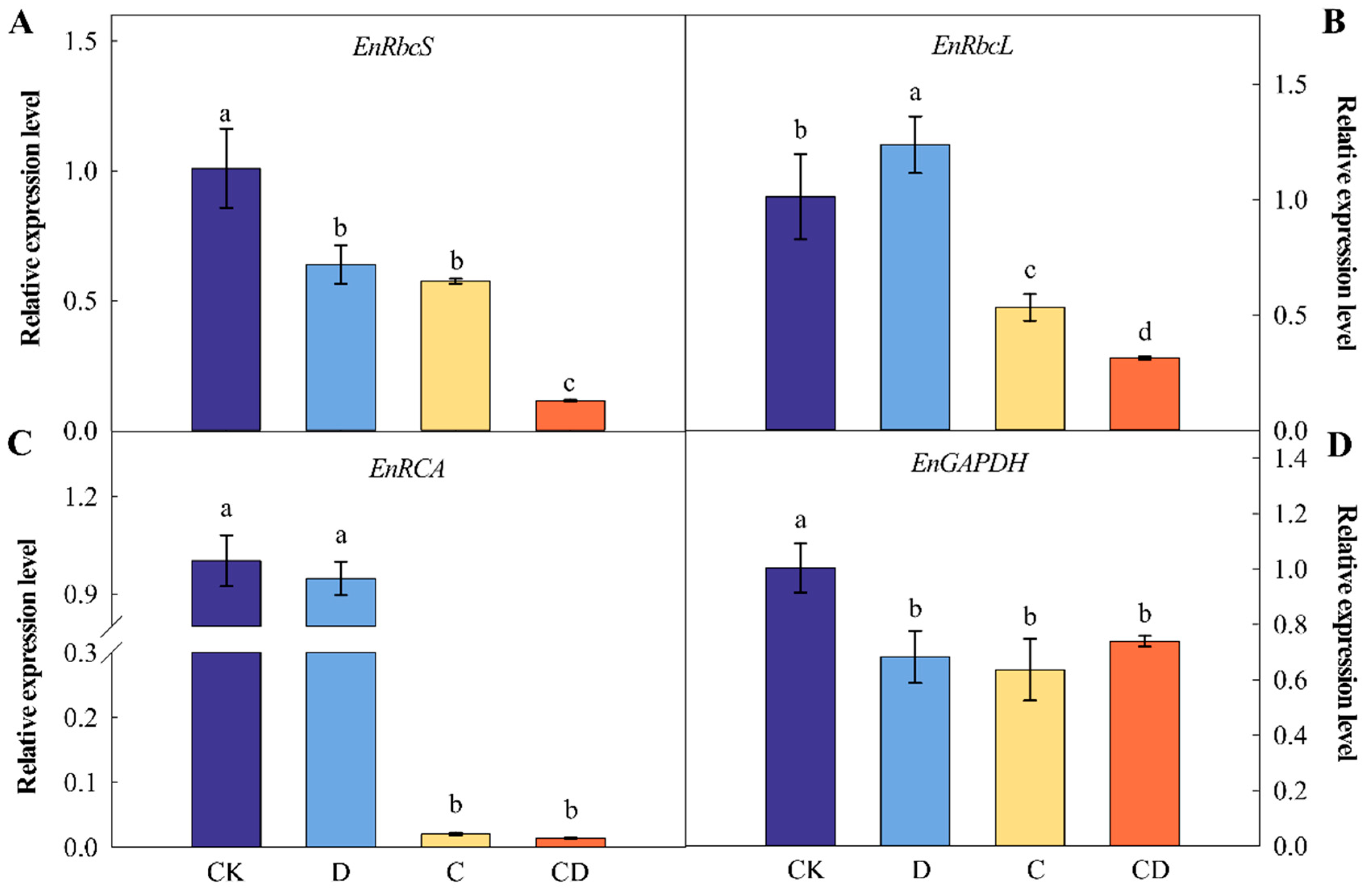 Agronomy 13 02368 g003