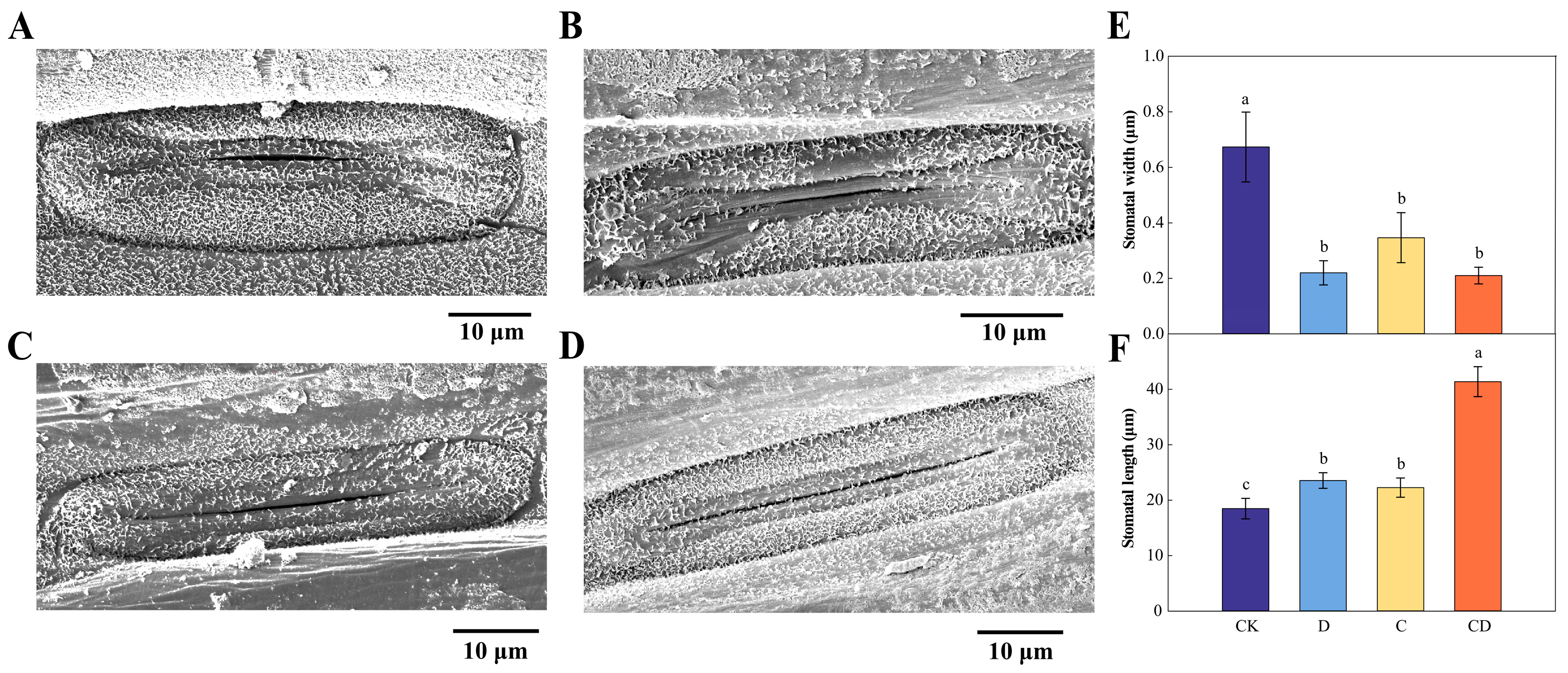 Agronomy 13 02368 g005