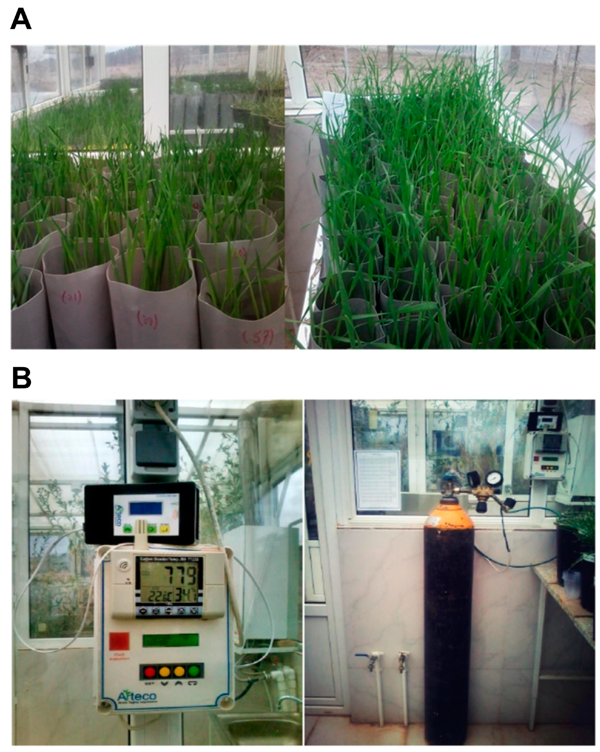 Agronomy 13 02373 g001