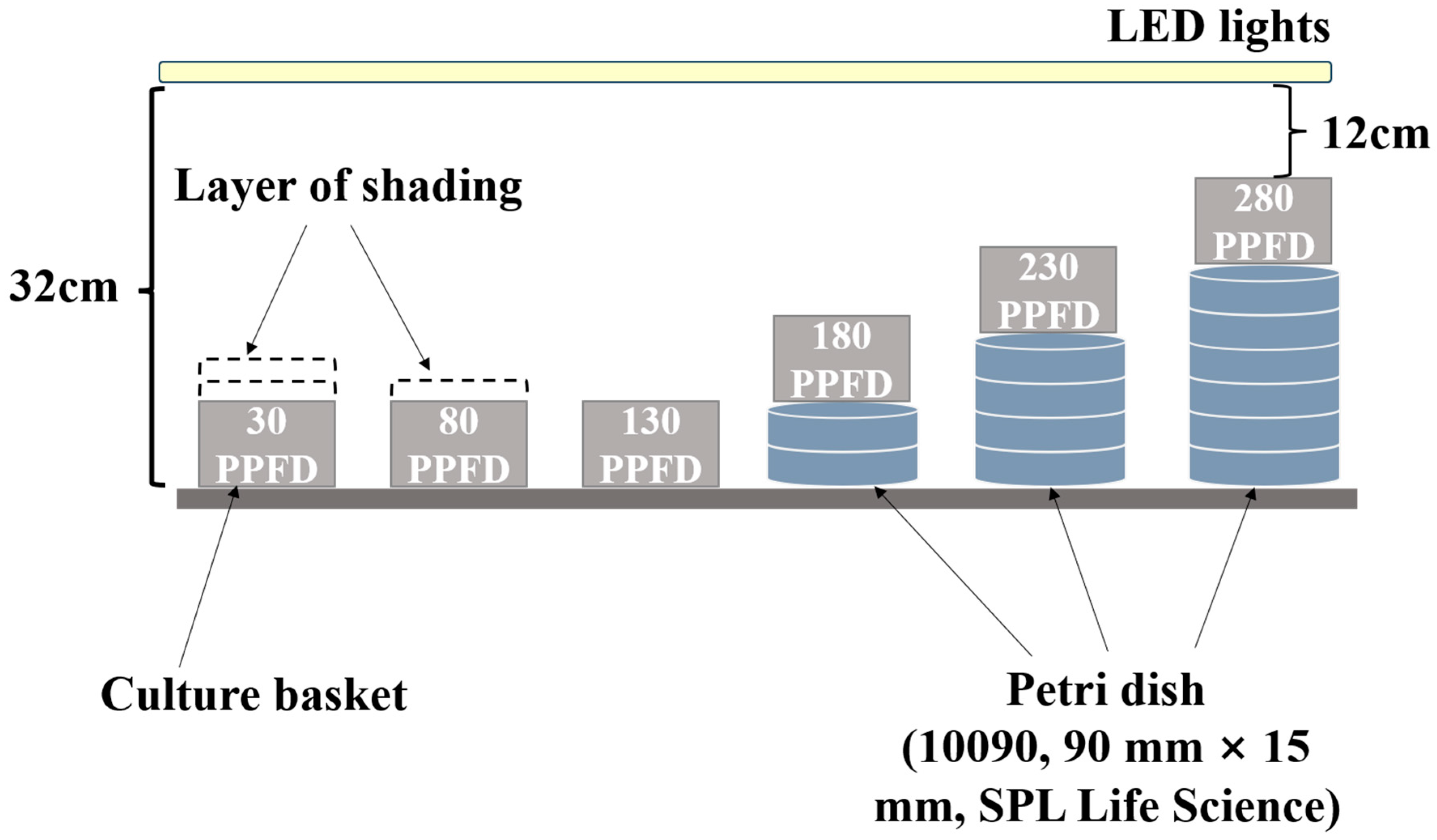 Agronomy 13 02375 g001 Agronomy 13 02375 g001