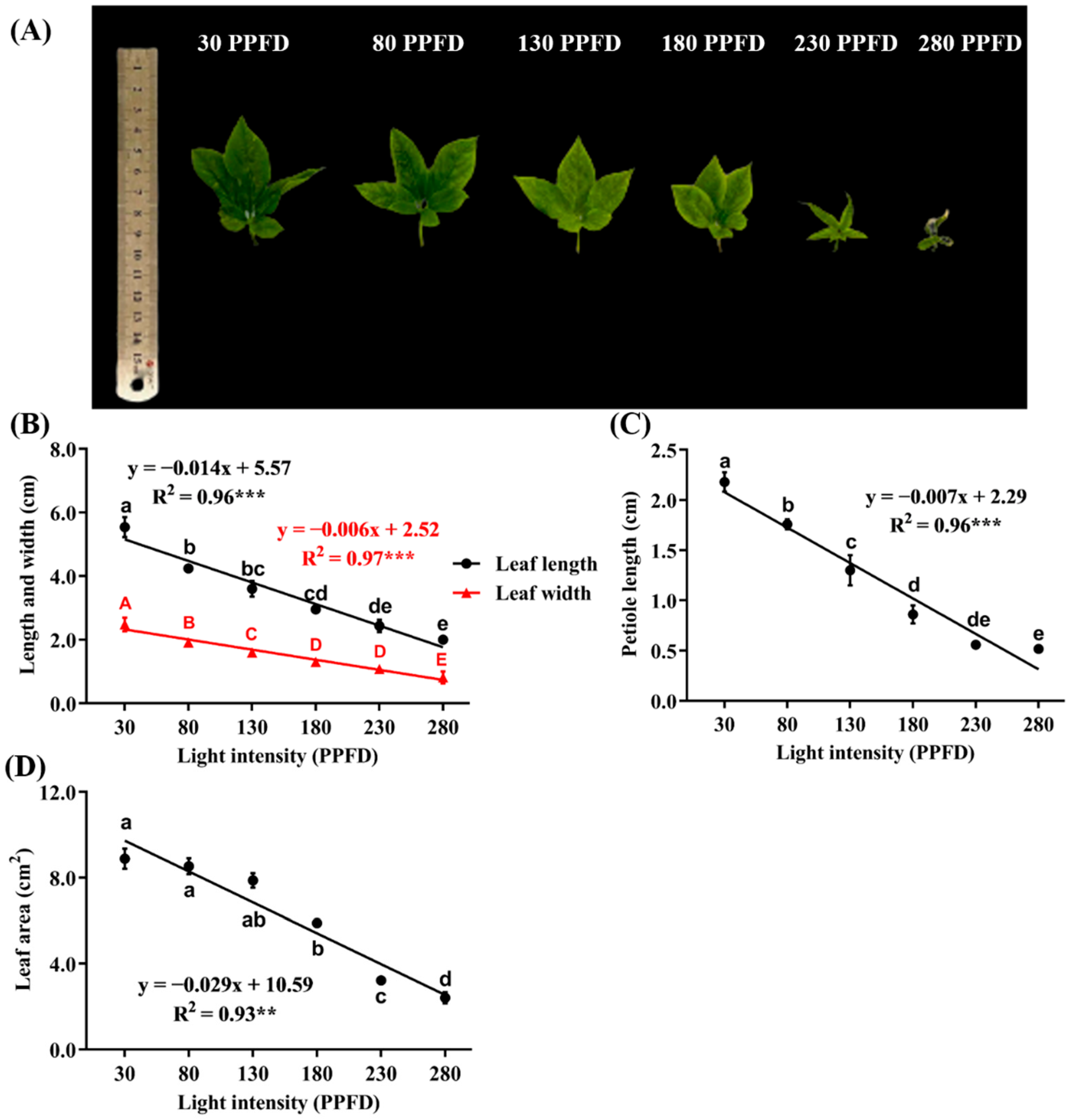Agronomy 13 02375 g005 Agronomy 13 02375 g005