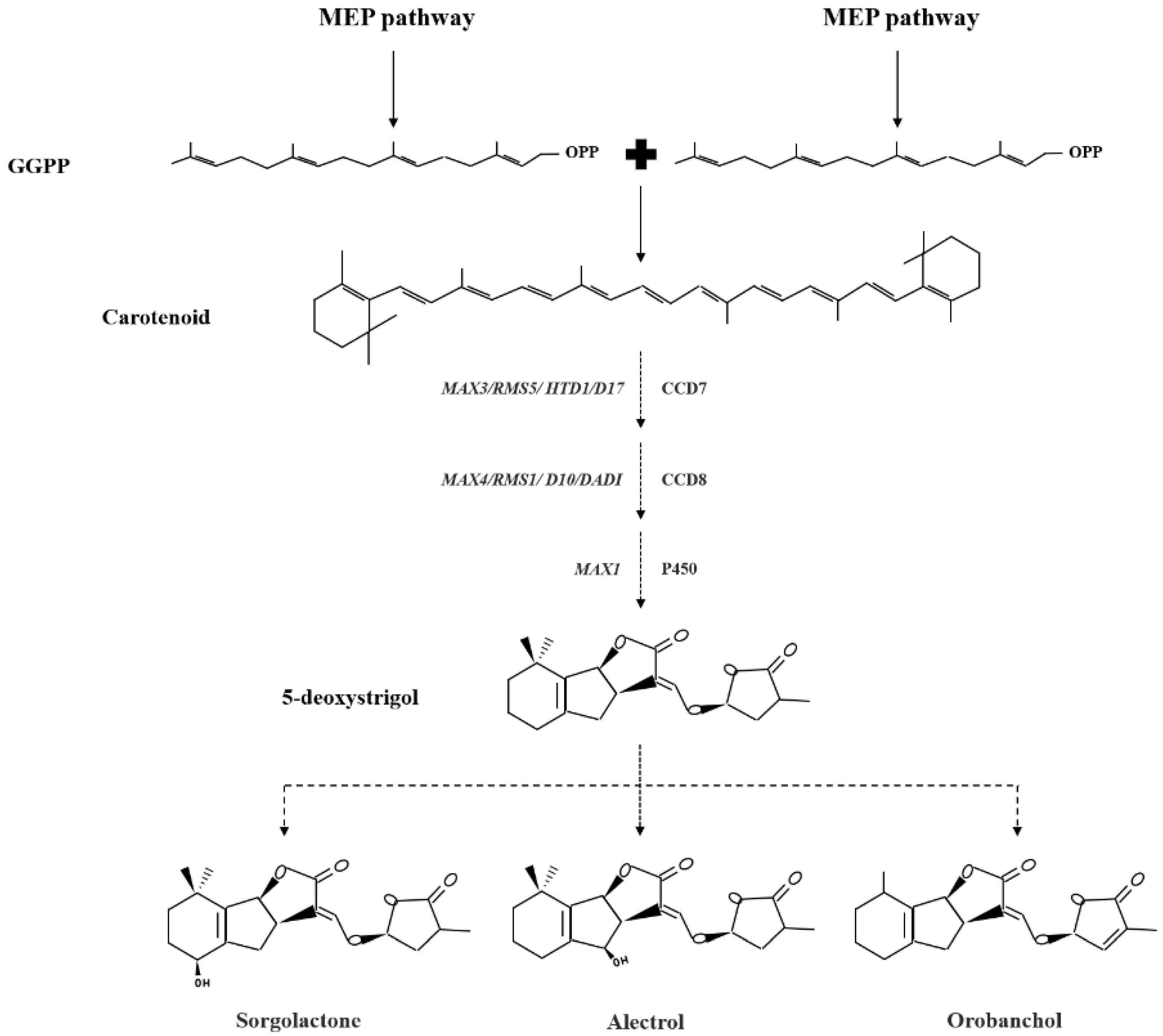 Agronomy 13 02383 g001