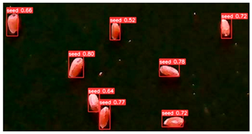 Agronomy 13 02391 i003