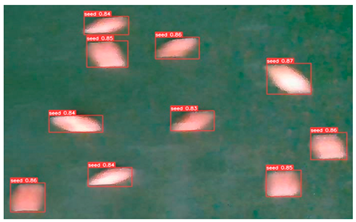 Agronomy 13 02391 i007