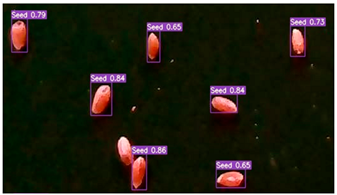 Agronomy 13 02391 i014
