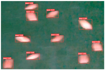 Agronomy 13 02391 i017