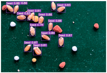 Agronomy 13 02391 i020