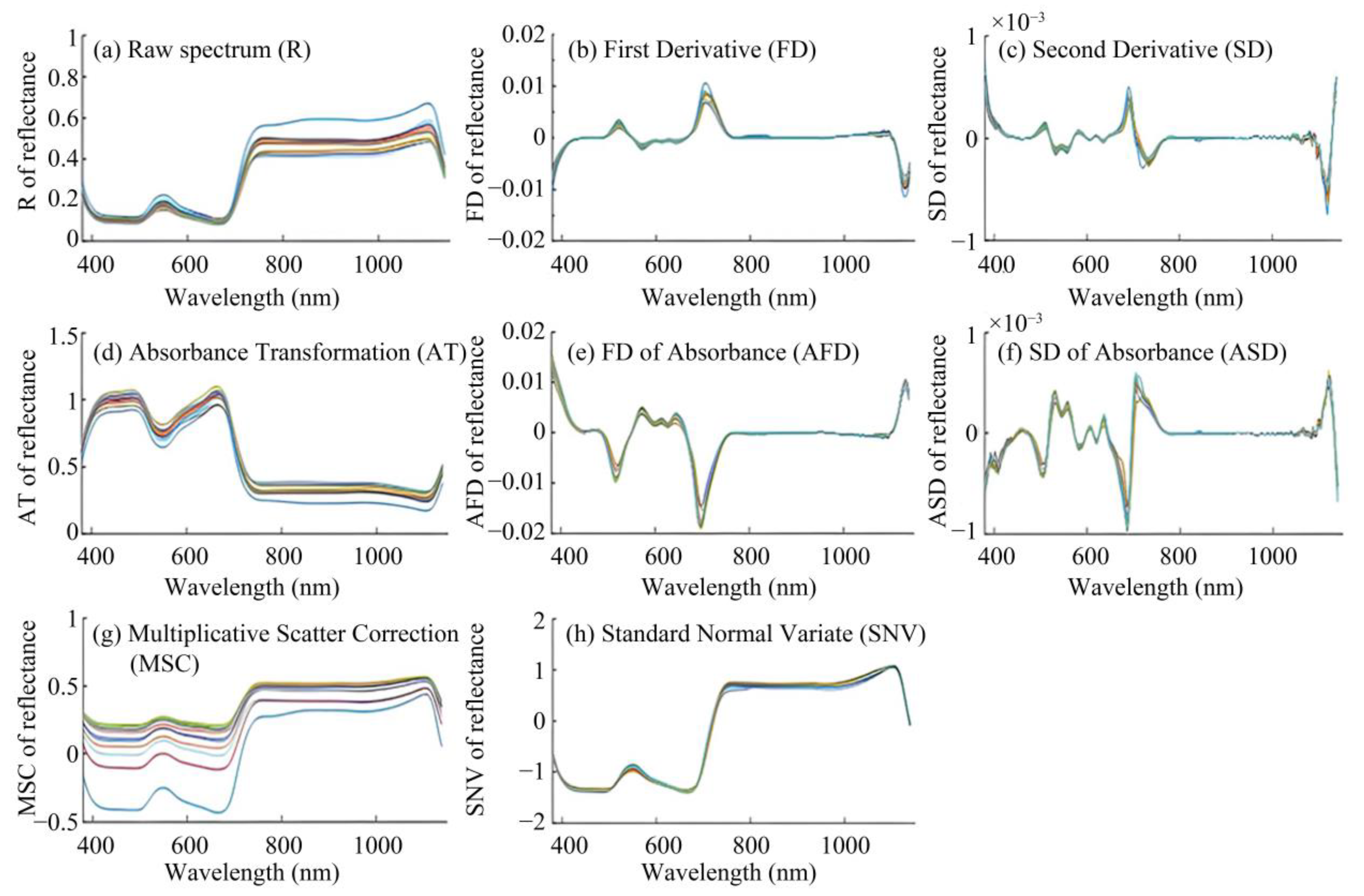 Agronomy 13 02396 g002