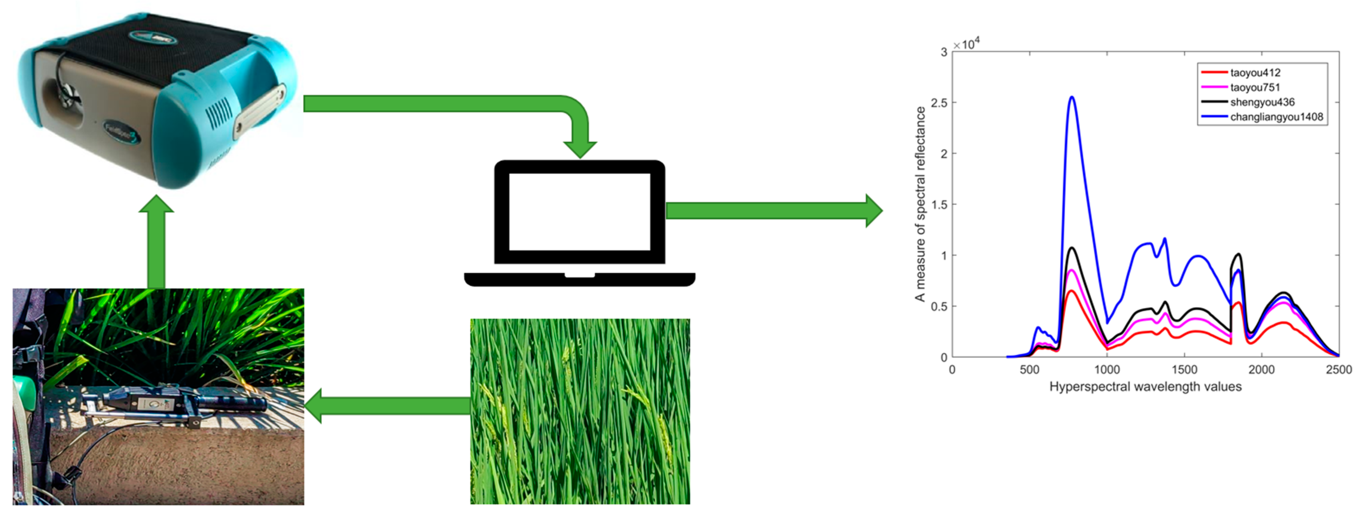 Agronomy 13 02401 g001 Agronomy 13 02401 g001