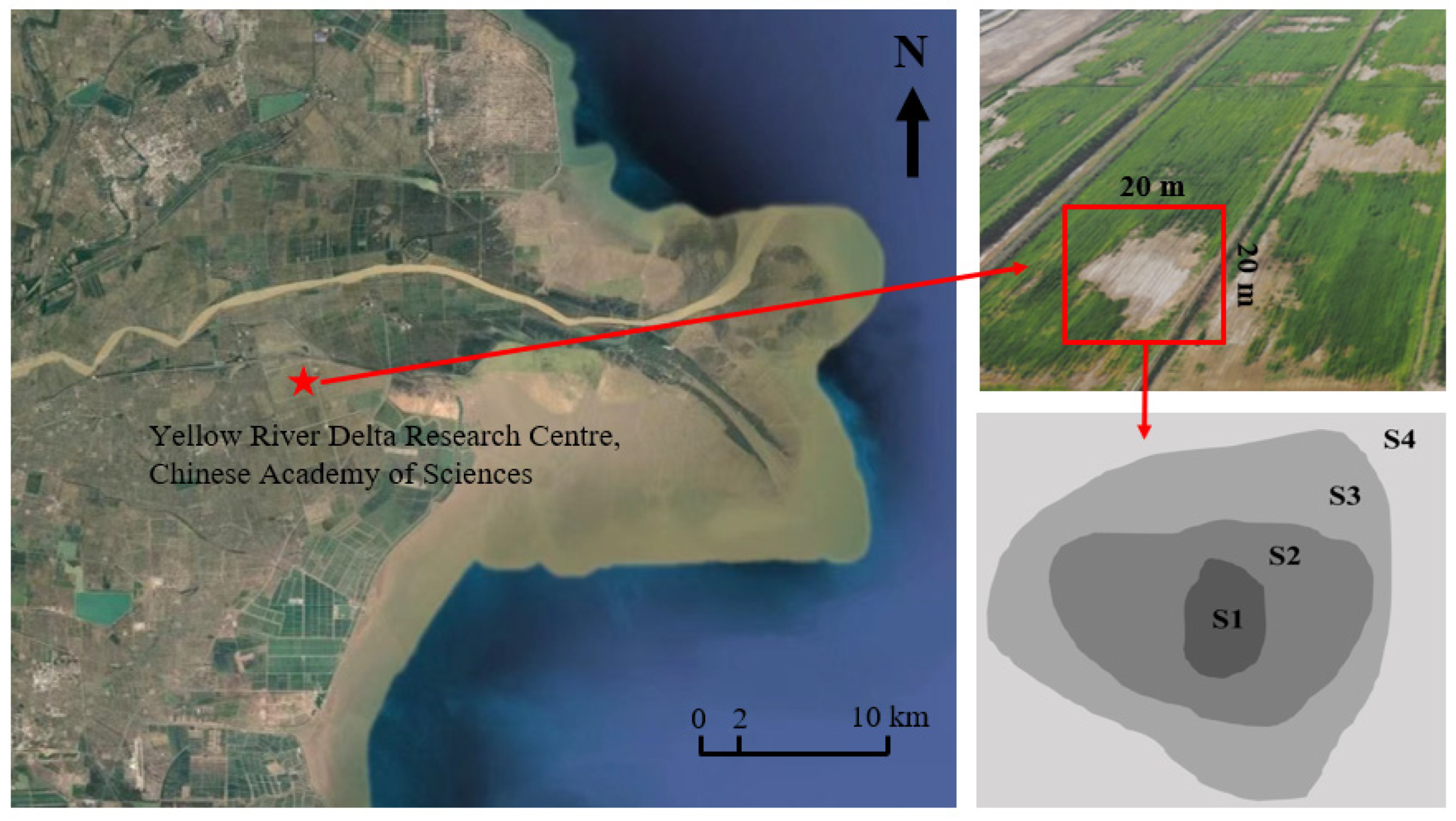 Agronomy 13 02403 g001