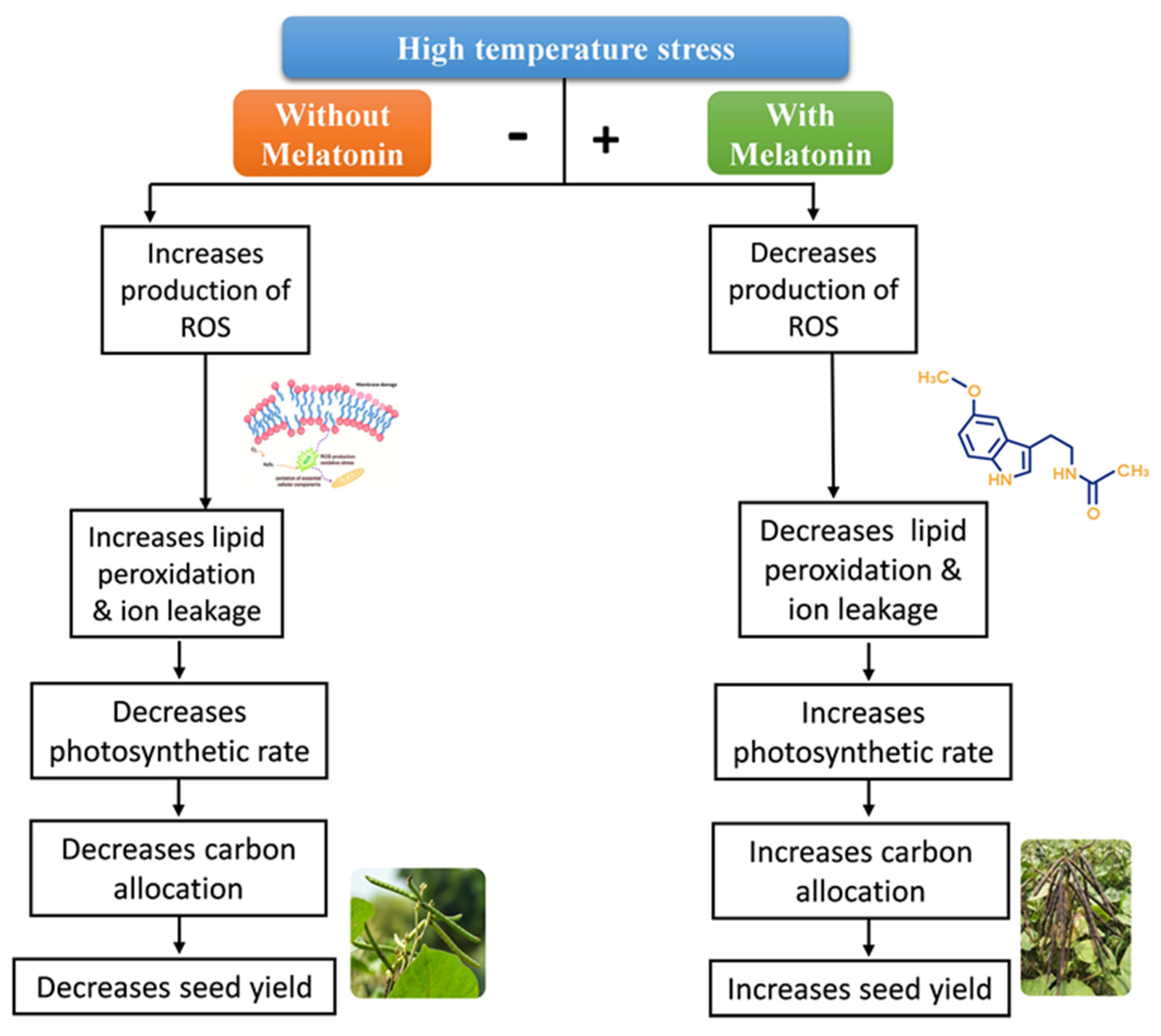 Agronomy 13 02405 g004