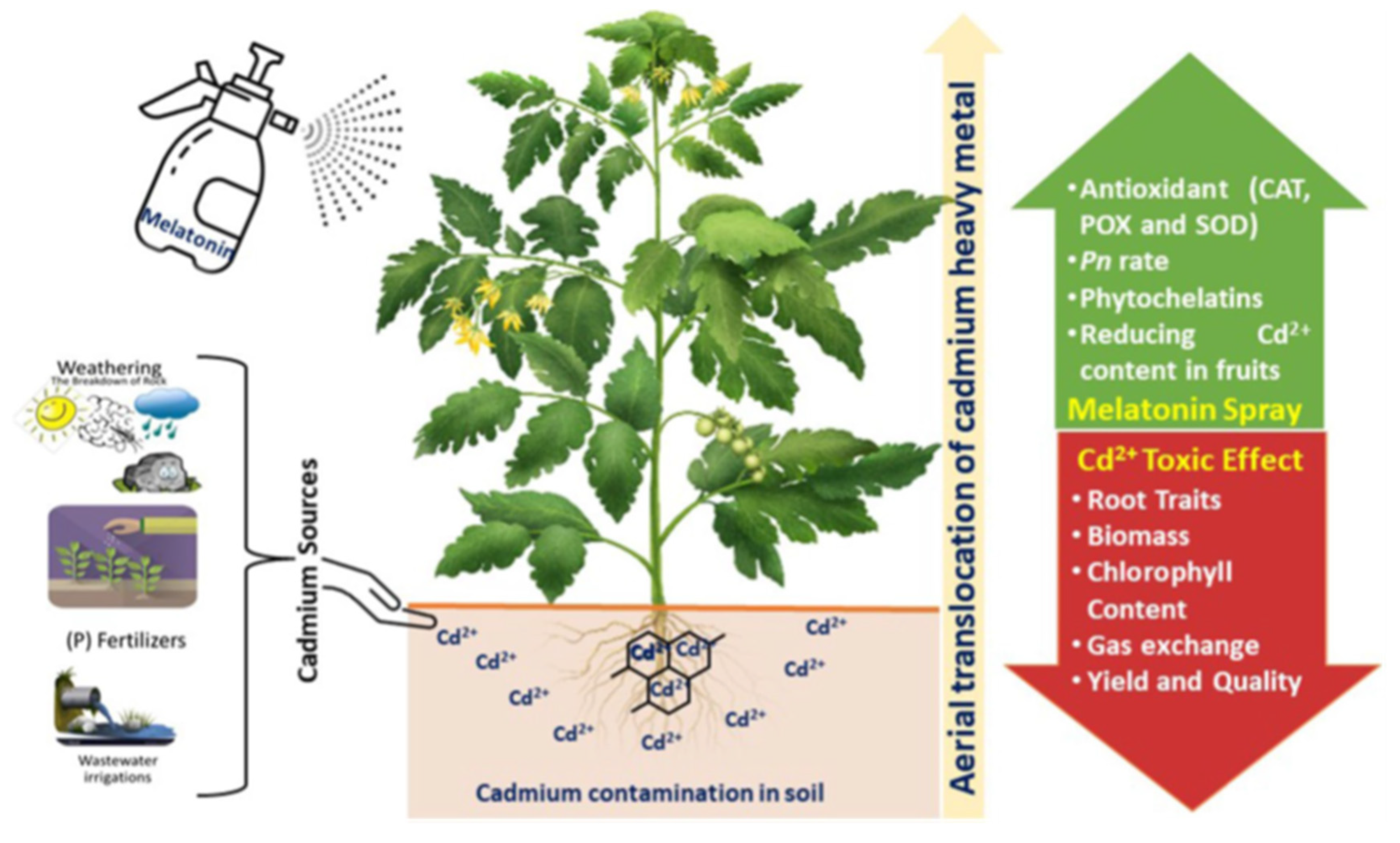 Agronomy 13 02405 g005
