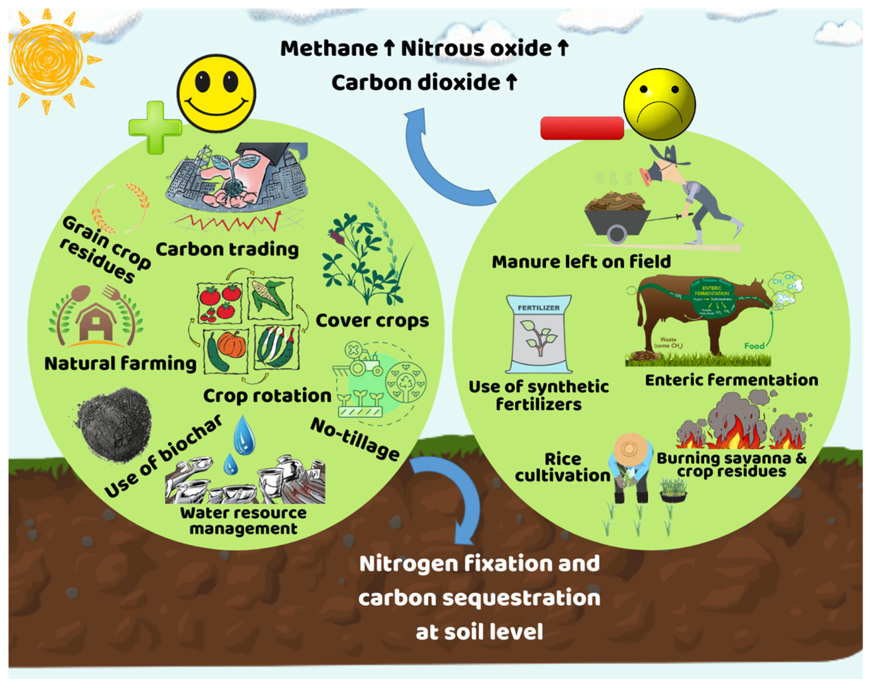 Agronomy 13 02406 g004