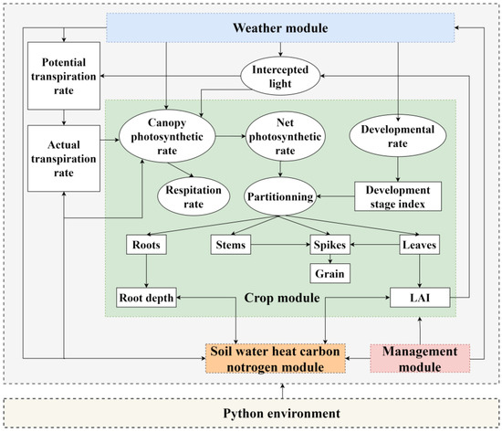 WheatSM V5.0: A Python-Based Wheat Growth and Development Simulation ...