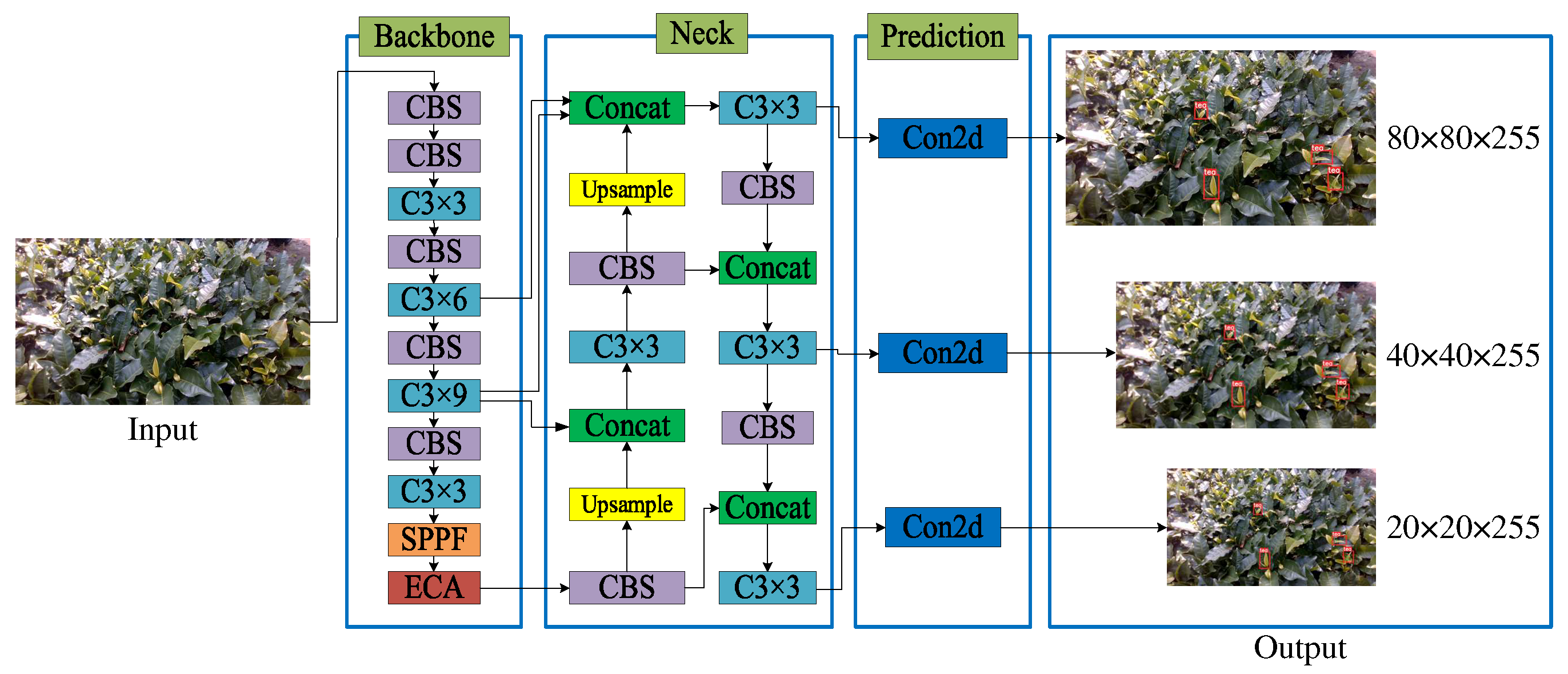Agronomy 13 02412 g003