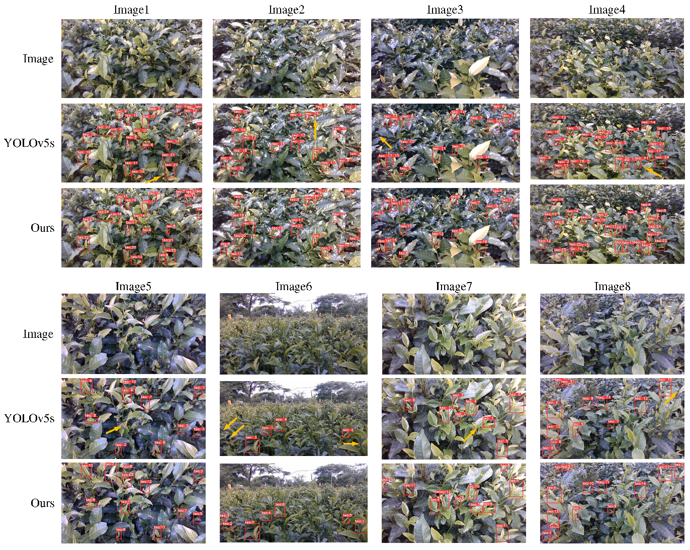 Agronomy 13 02412 g011