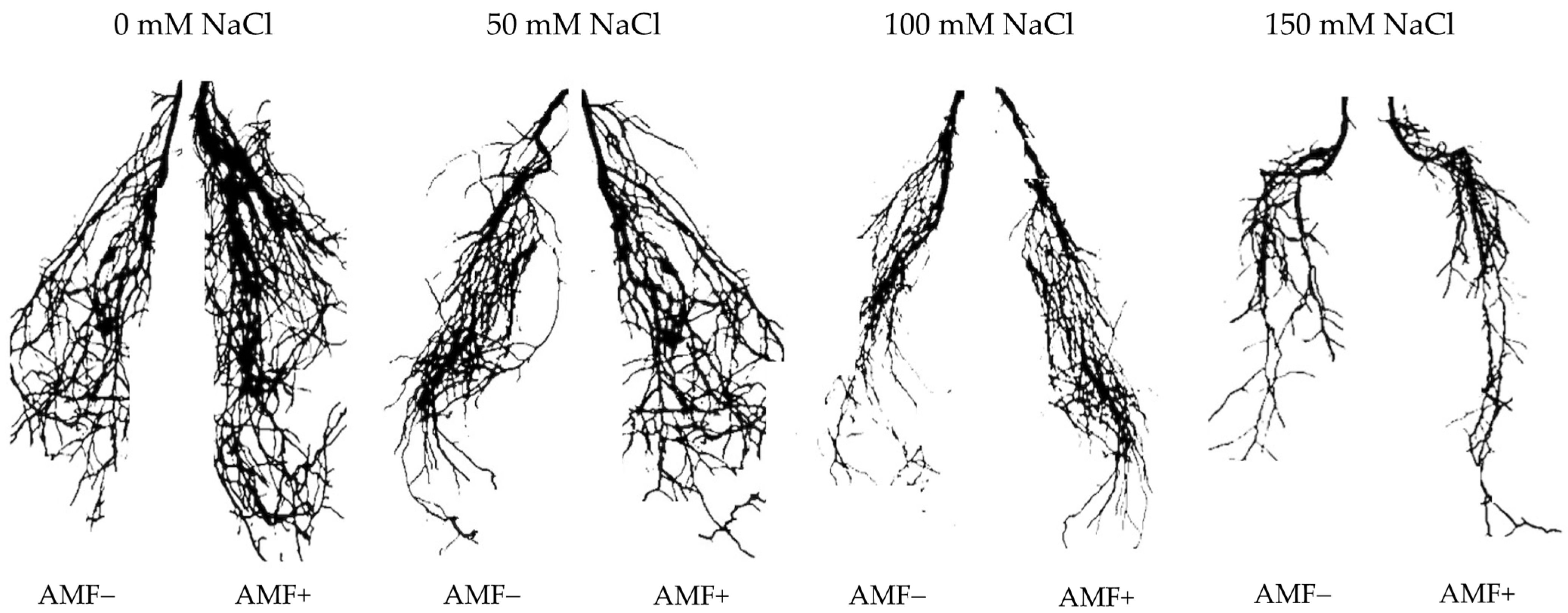 Agronomy 13 02416 g002
