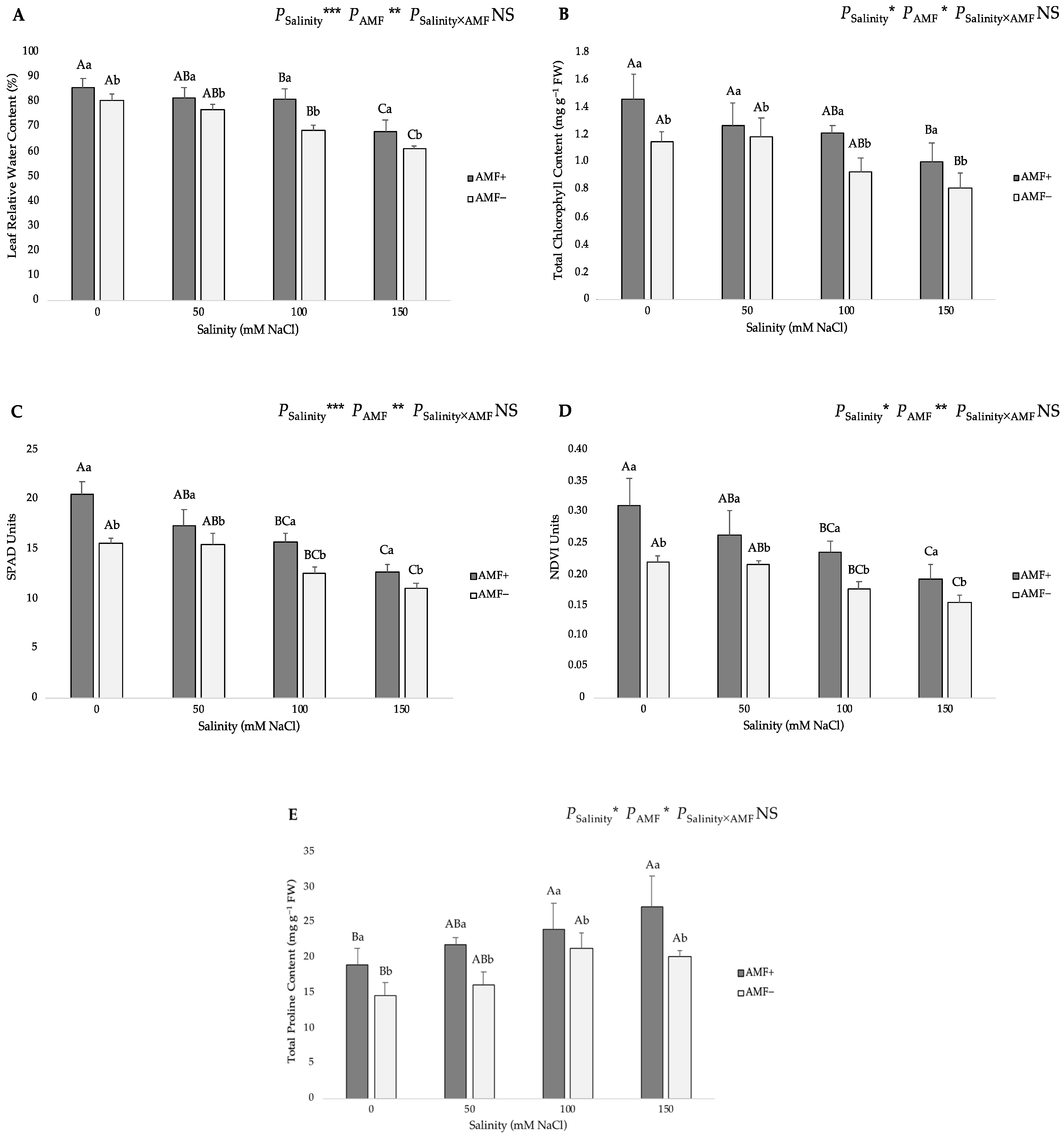 Agronomy 13 02416 g003