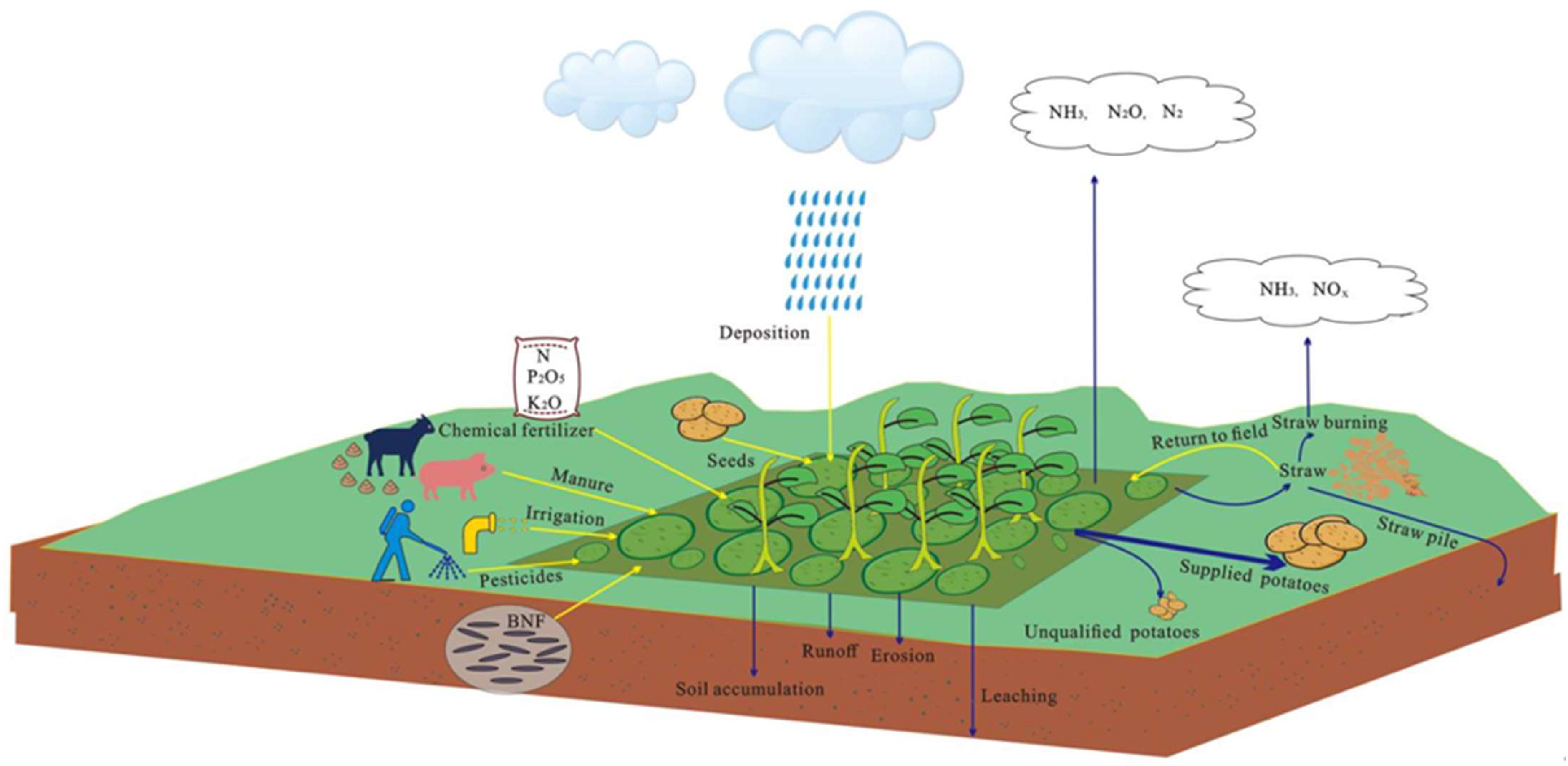 Agronomy 13 02430 g001