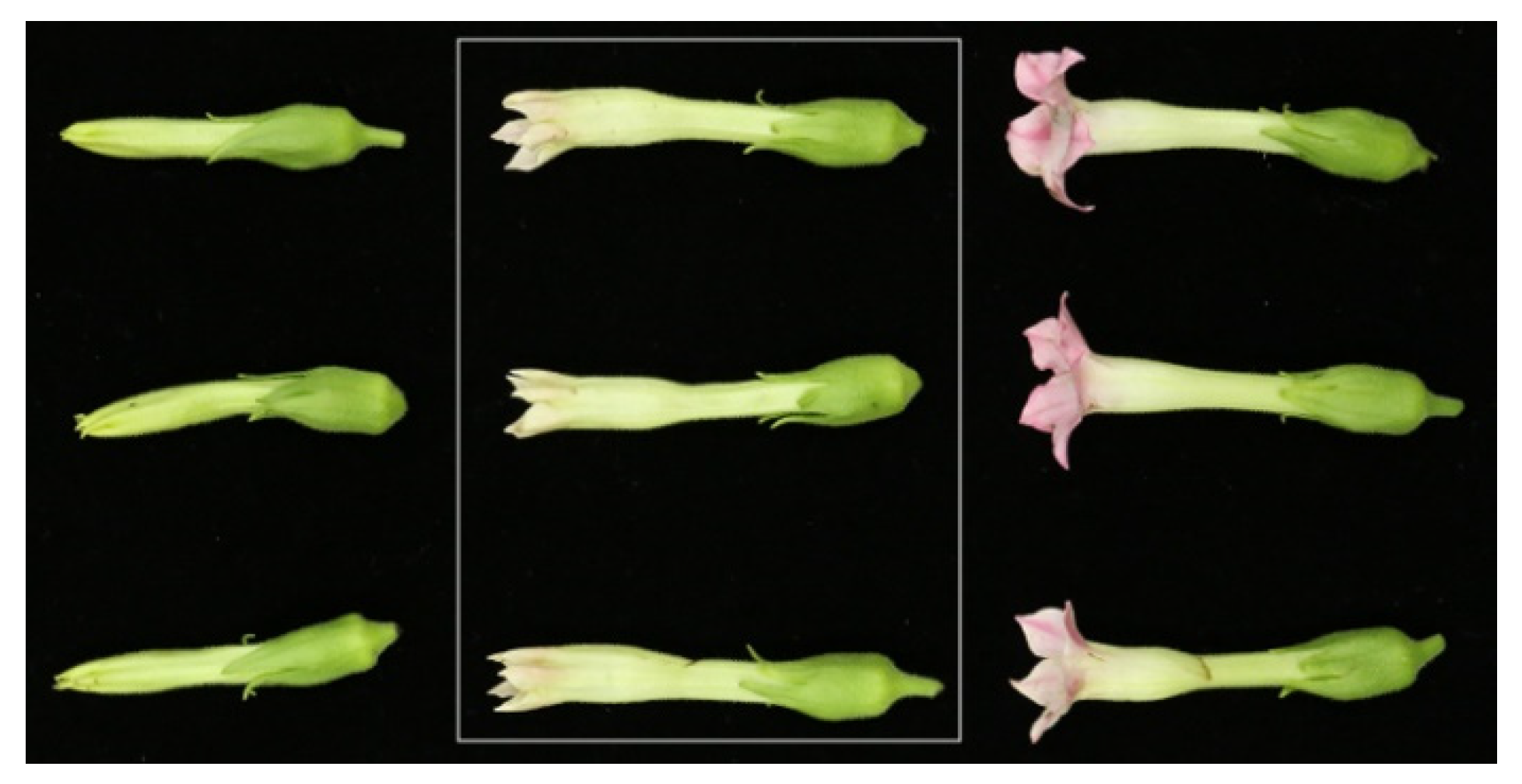 Agronomy 13 02433 g001