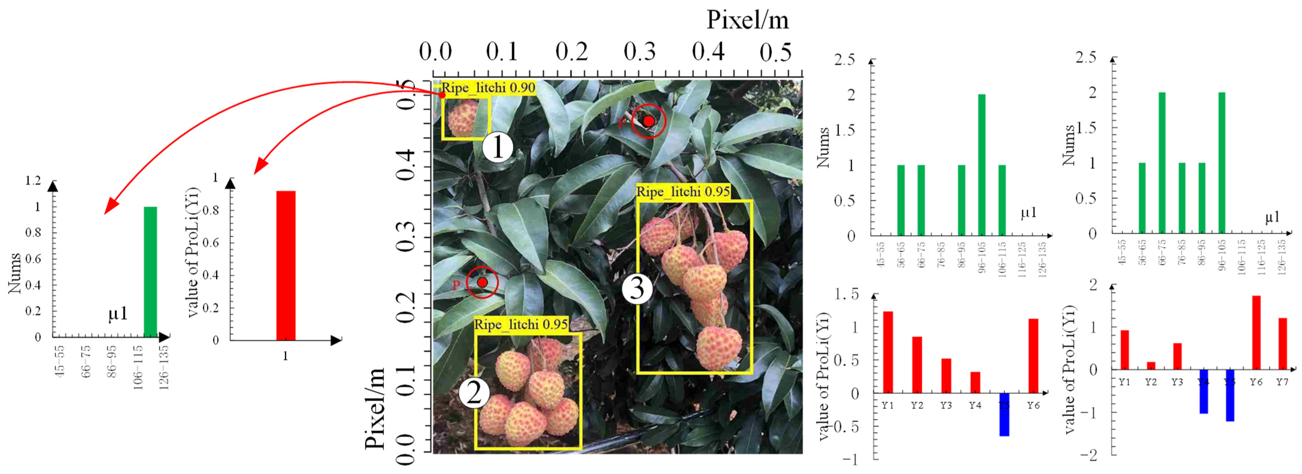 Agronomy 13 02435 g017