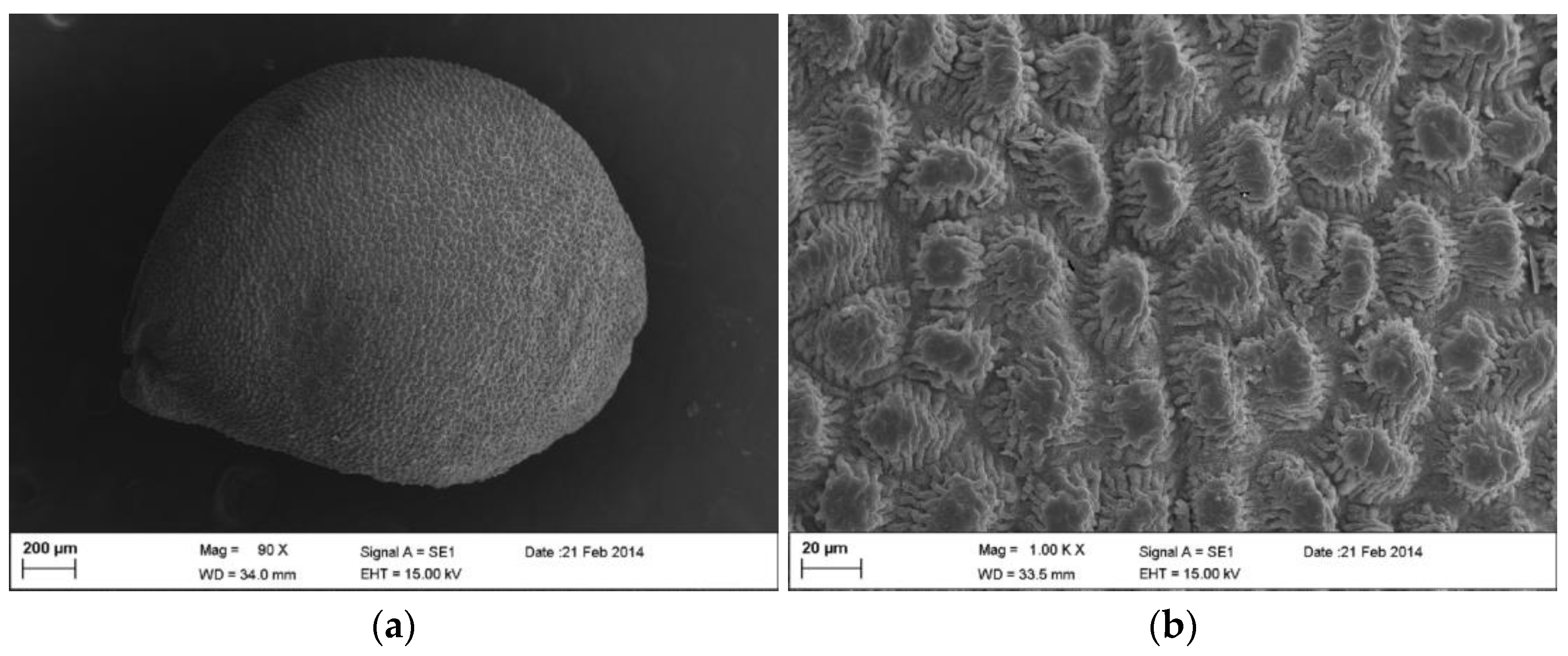 Agronomy 13 02438 g001