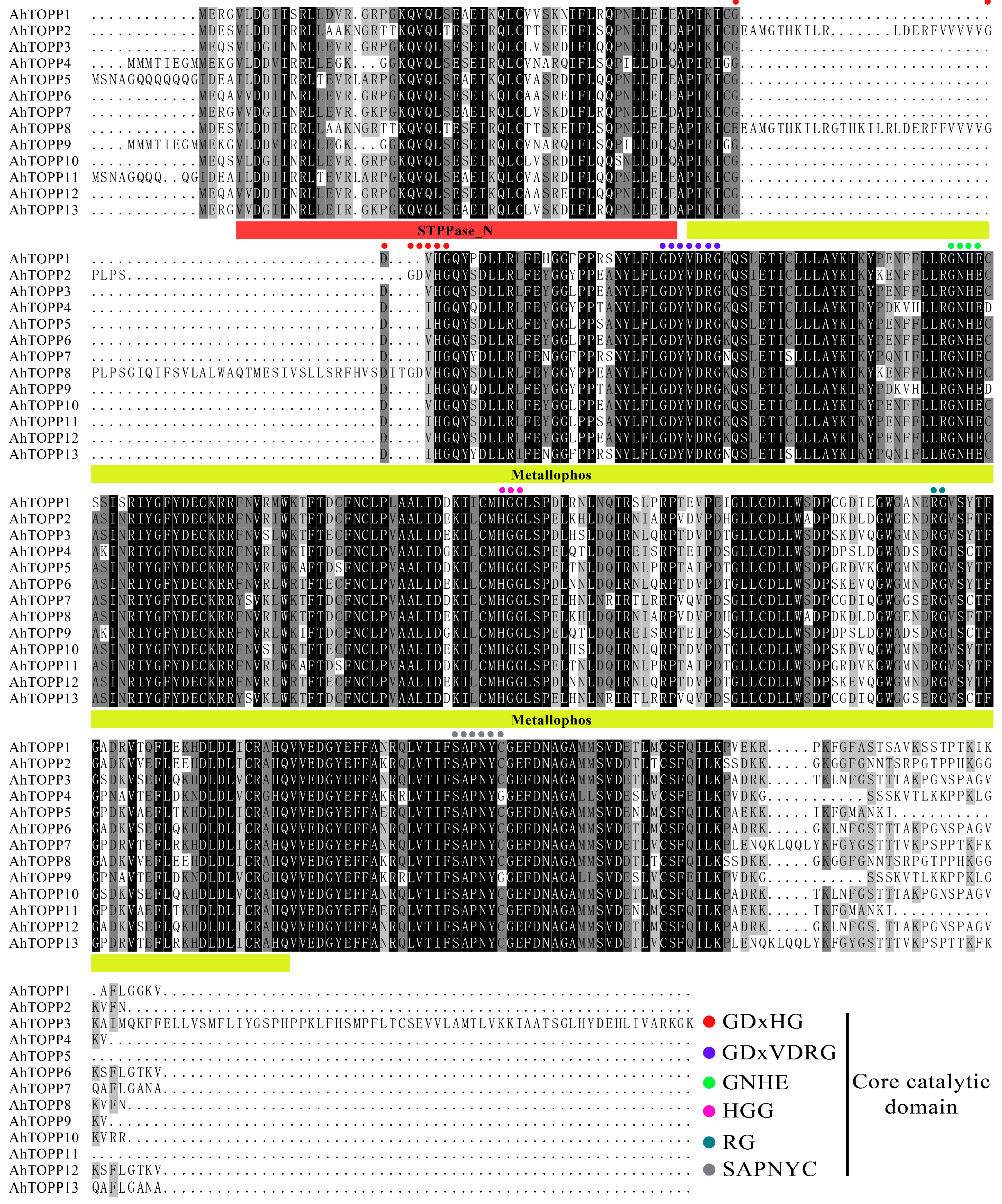 Agronomy 13 02444 g001