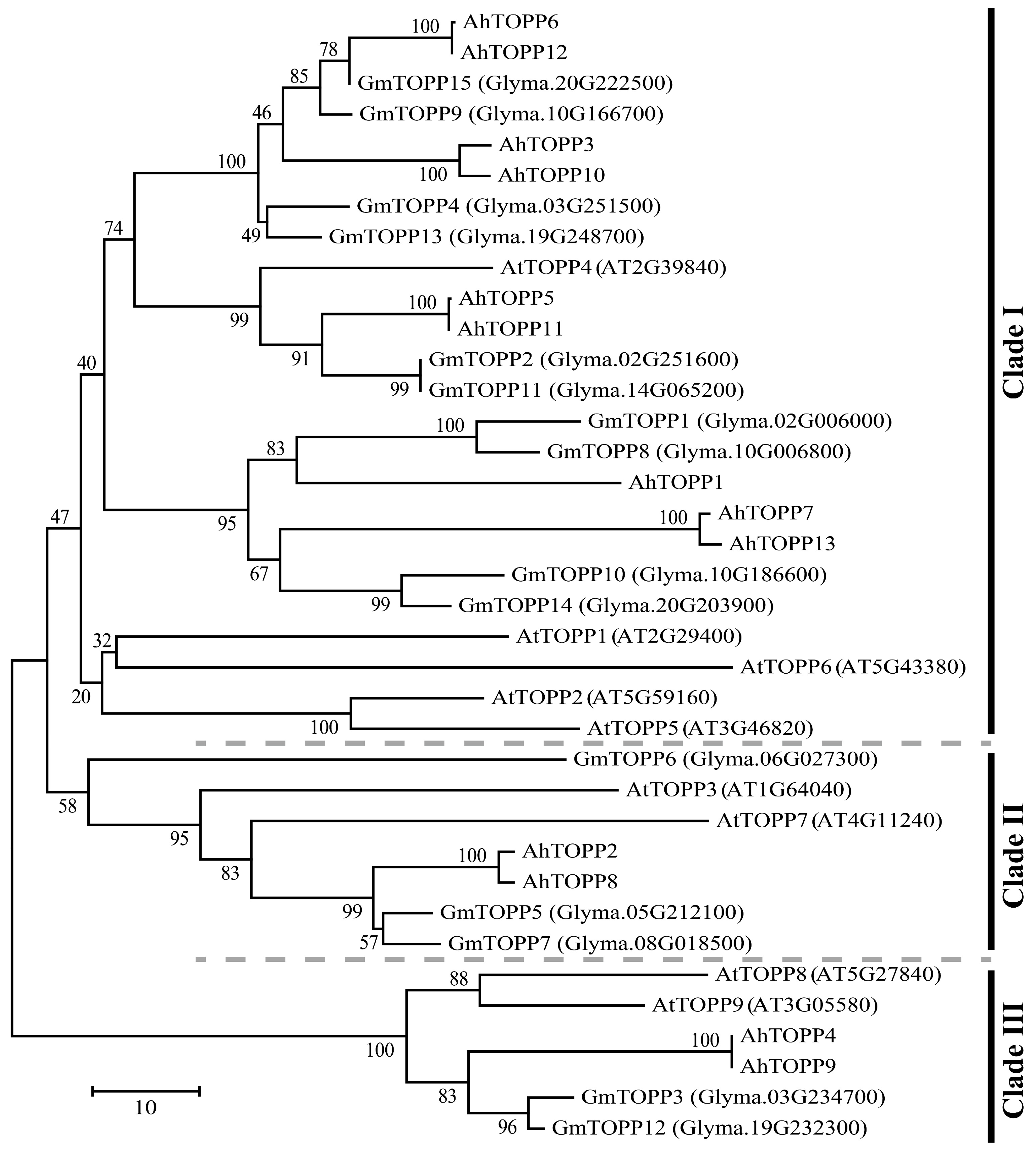 Agronomy 13 02444 g002