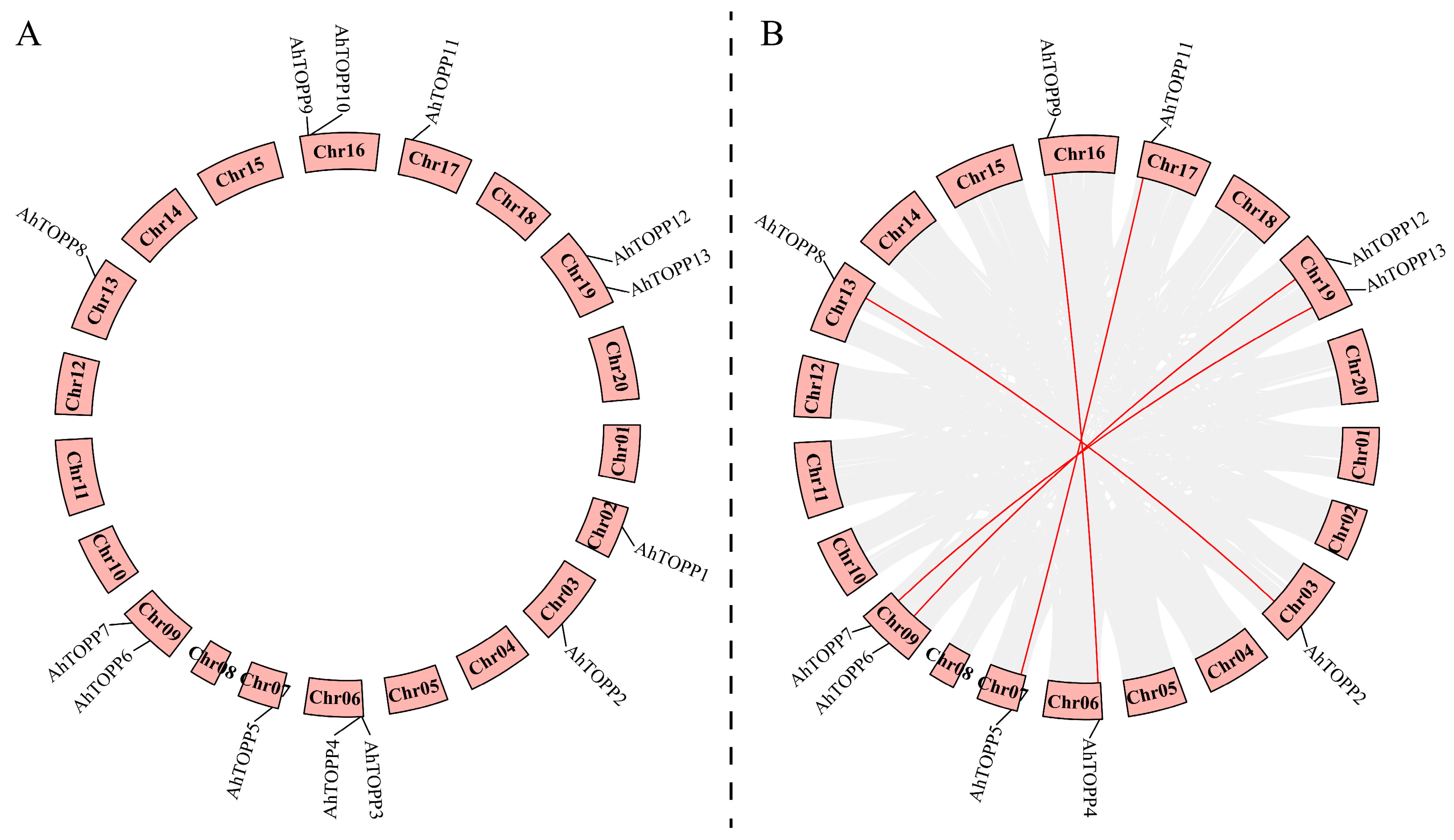 Agronomy 13 02444 g004