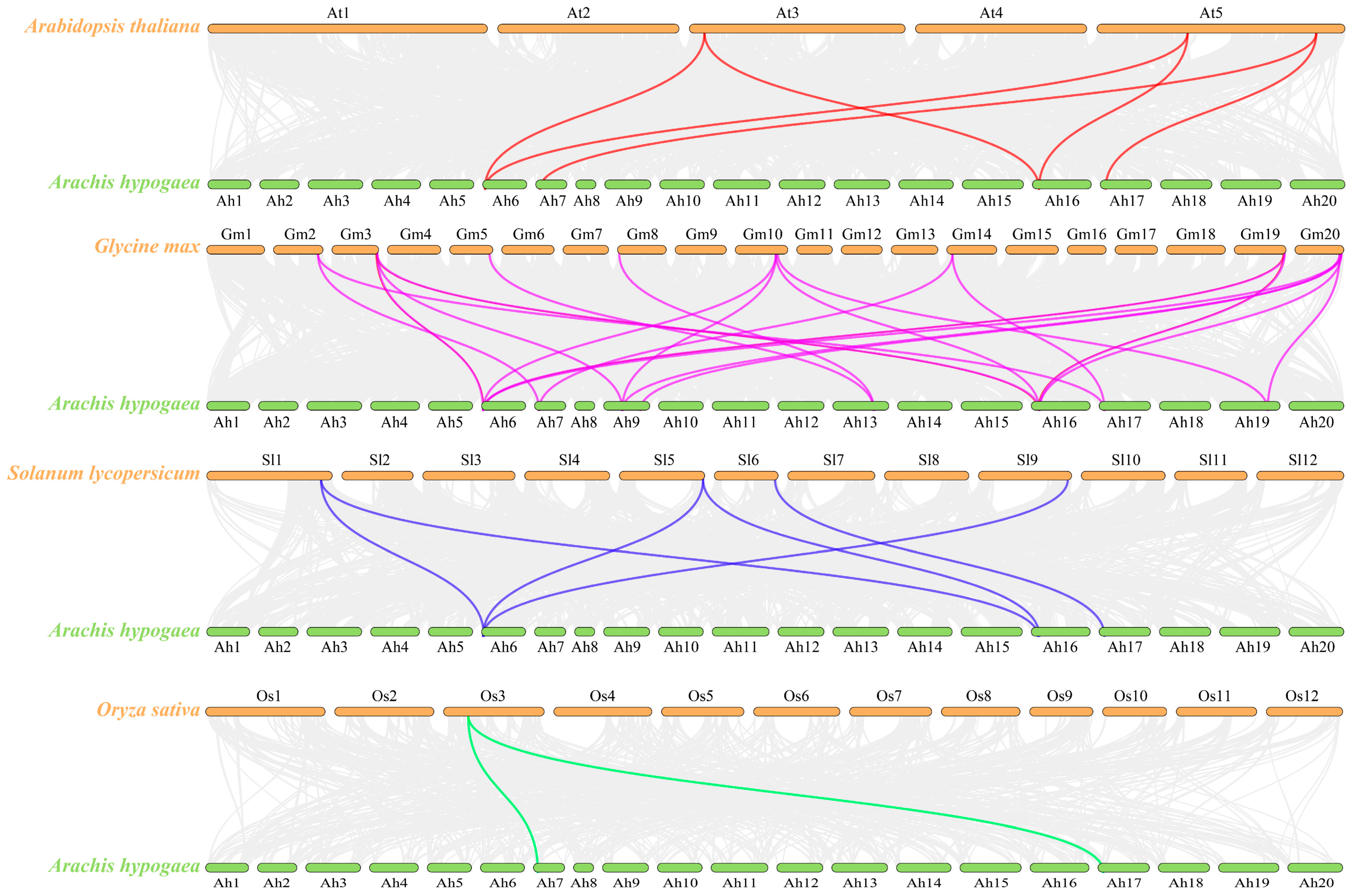 Agronomy 13 02444 g005