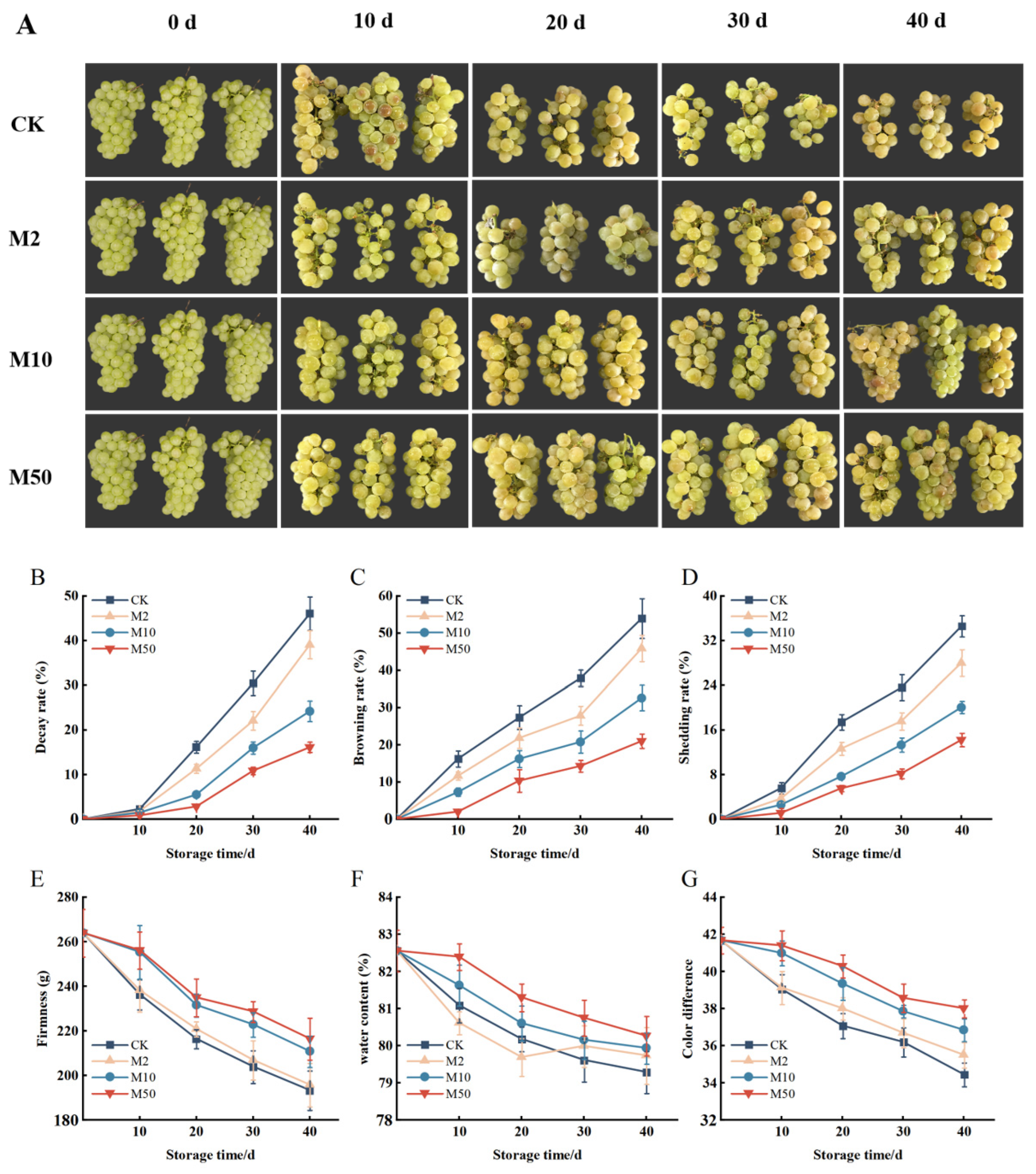 Agronomy 13 02450 g002
