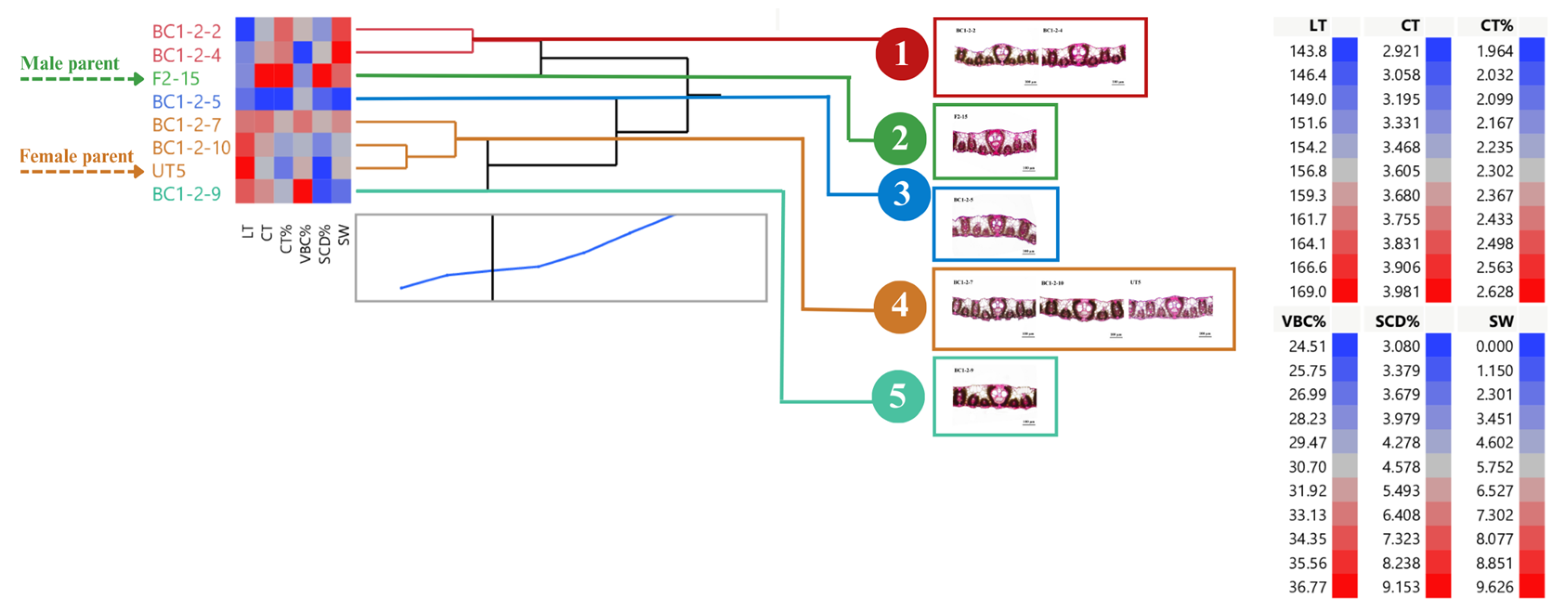 Agronomy 13 02457 g007