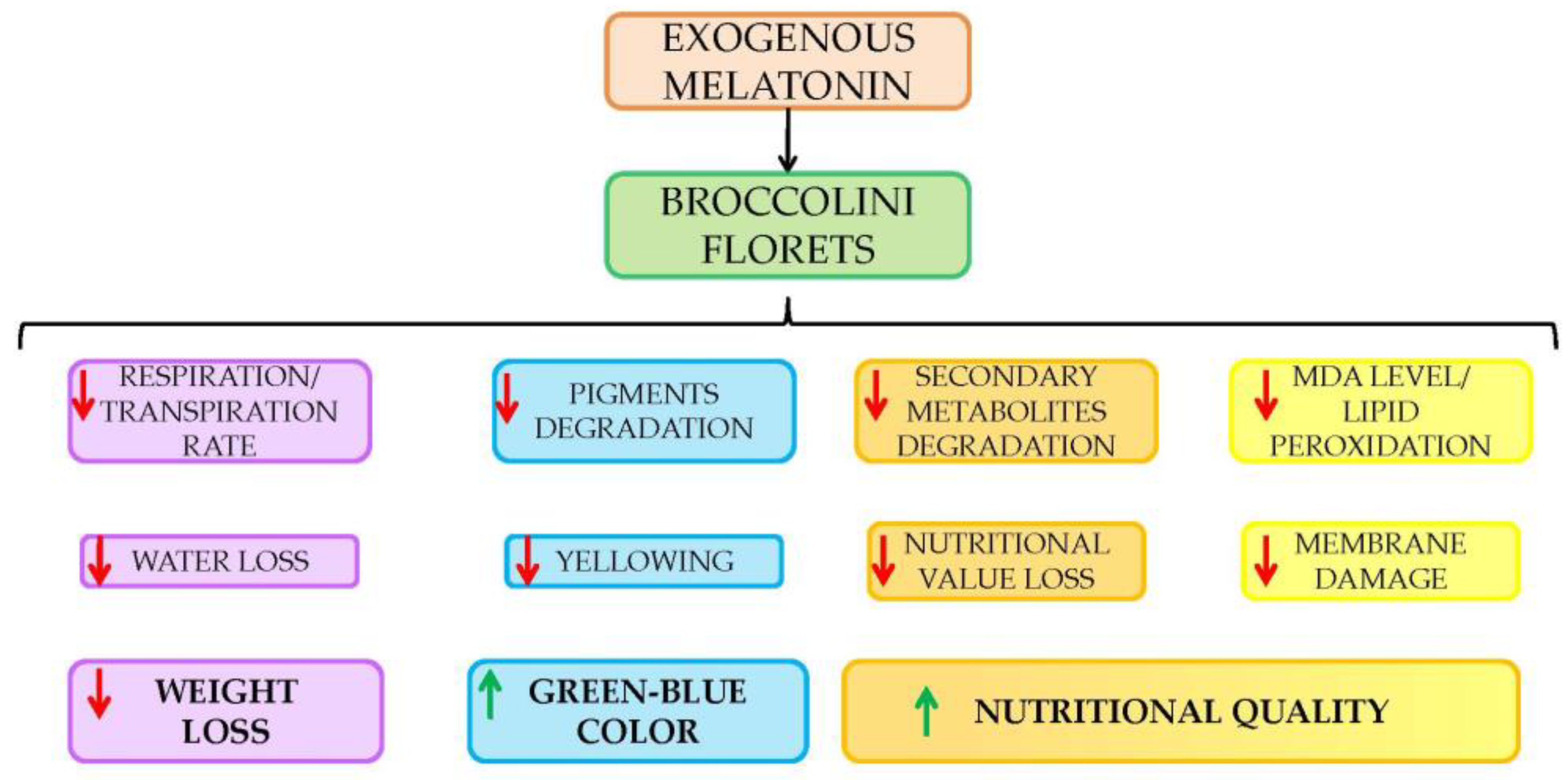 Agronomy 13 02459 g006