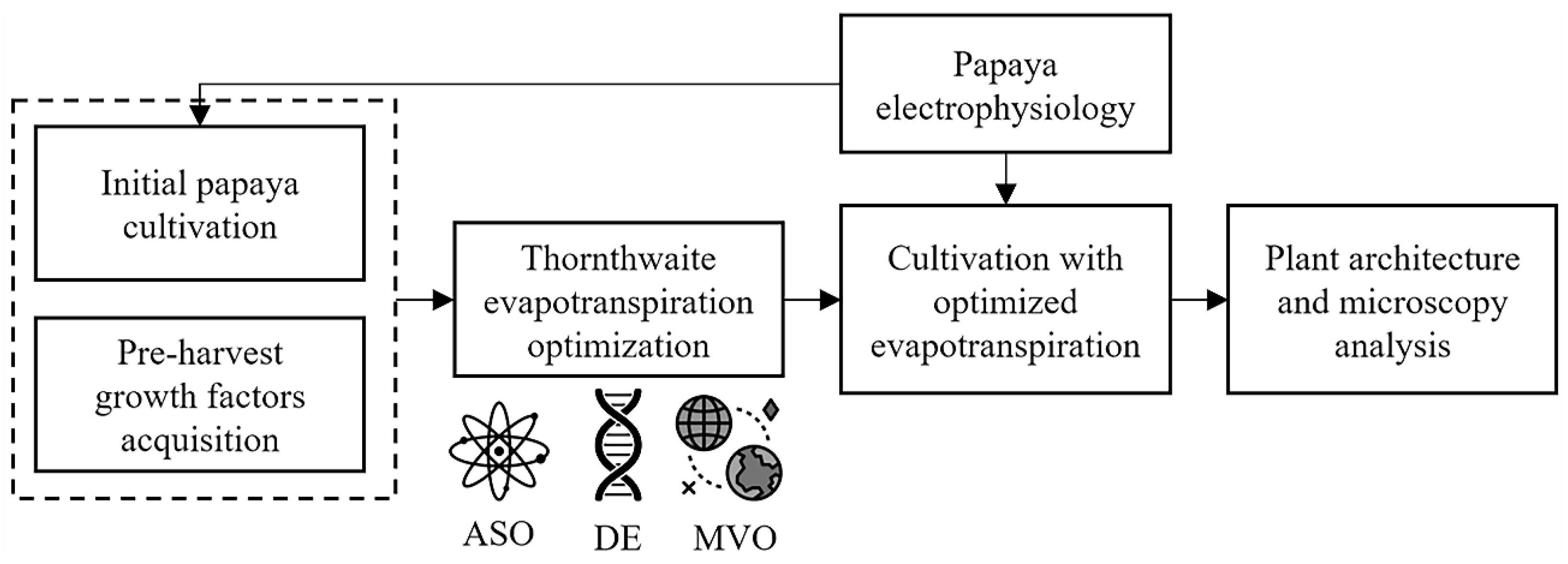Agronomy 13 02460 g001