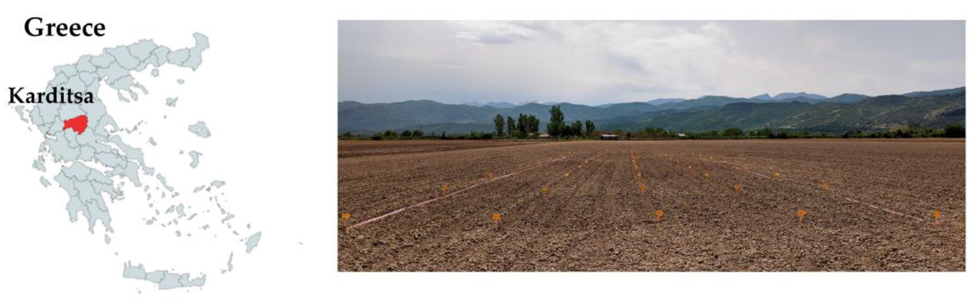 Agronomy 13 02466 g001